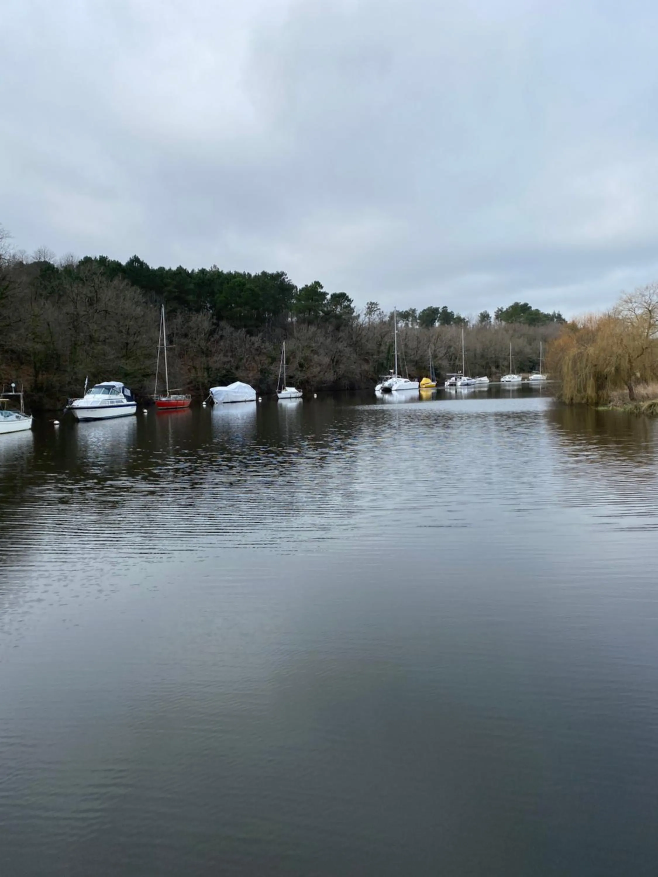 River view in Chambre d'Hôtes La Marie Pierre