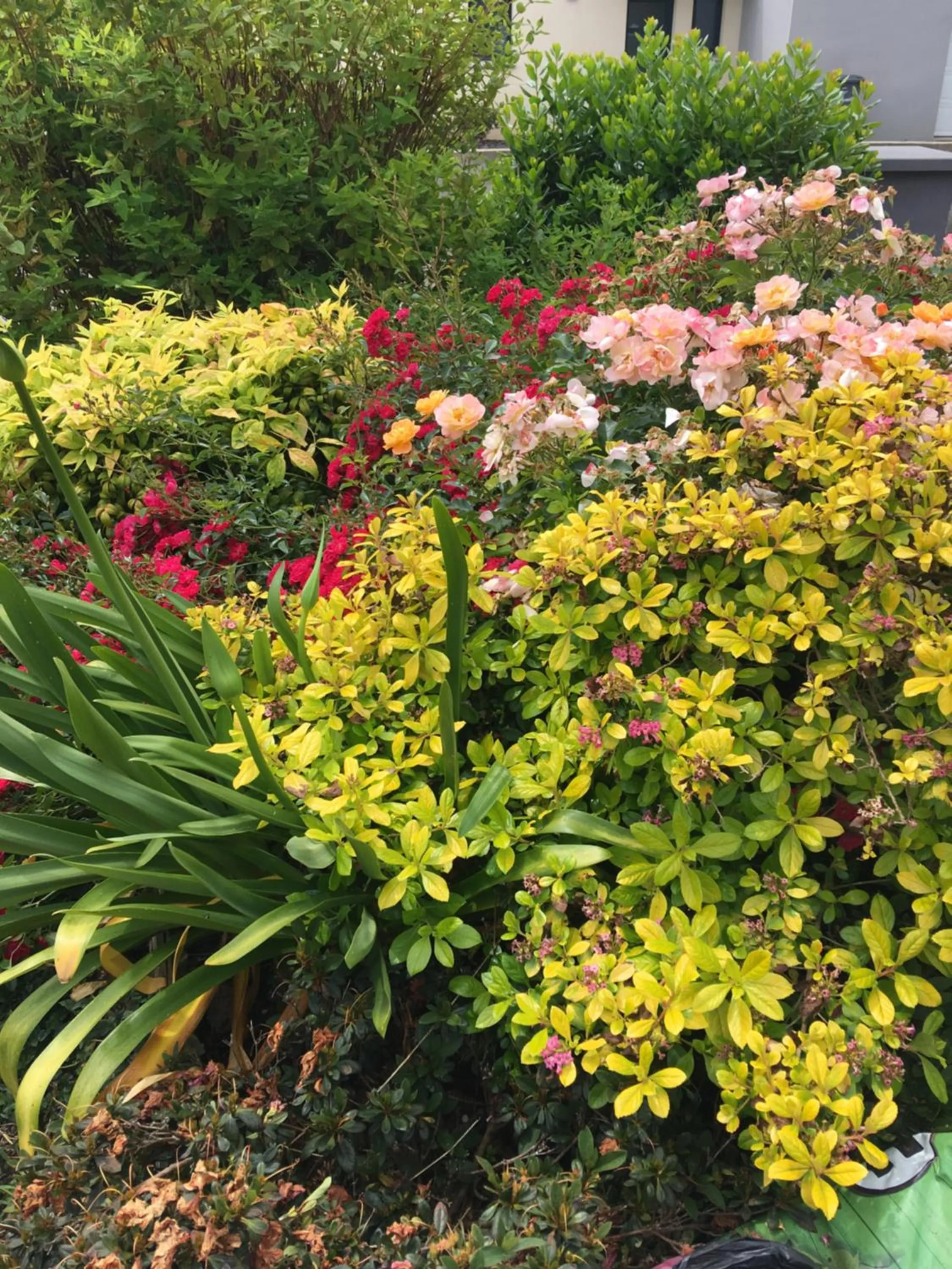 Garden in Chambre d'Hôtes La Marie Pierre