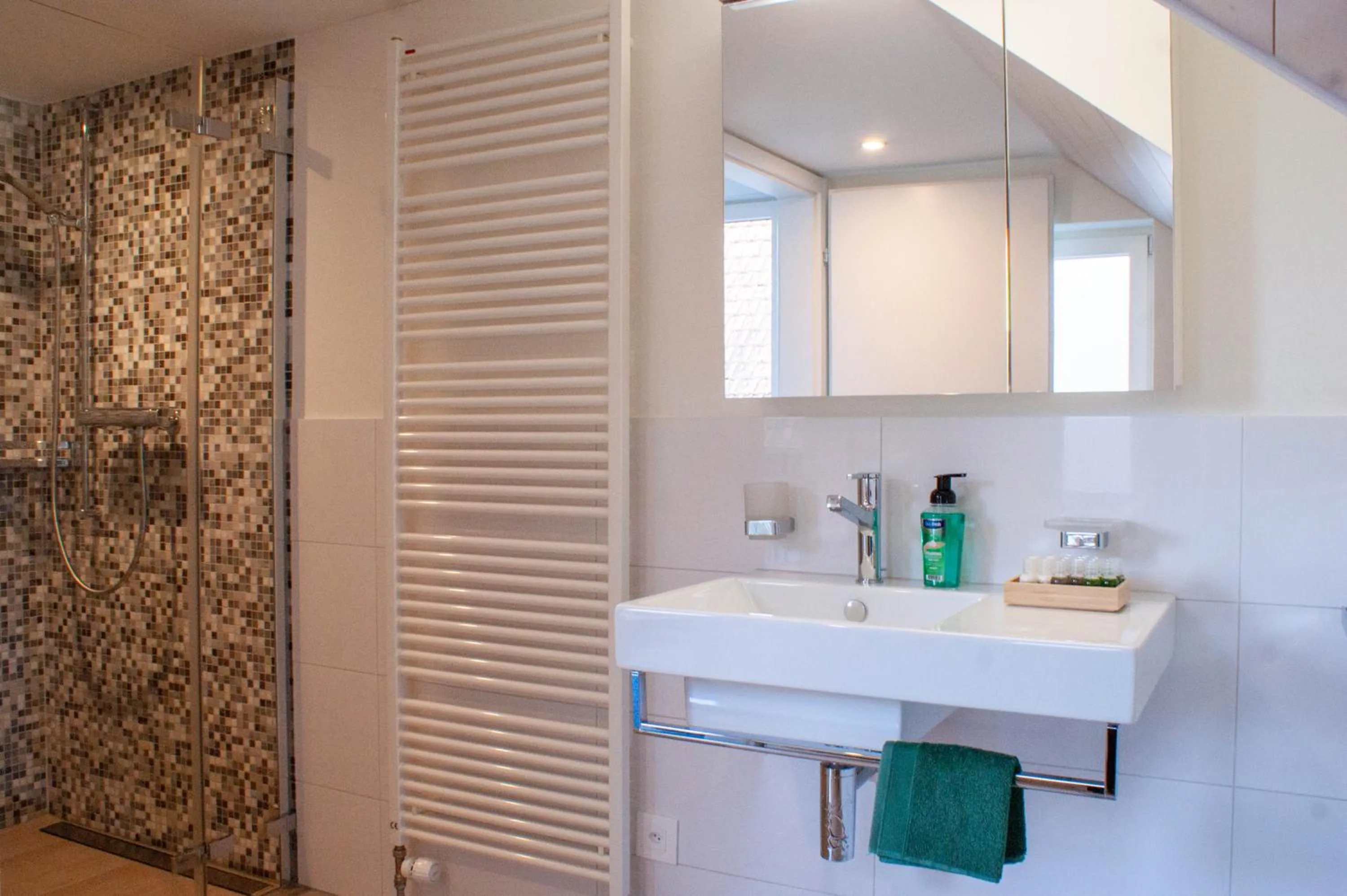 Bathroom in Budget rooms Pilatus - Alpnachstad