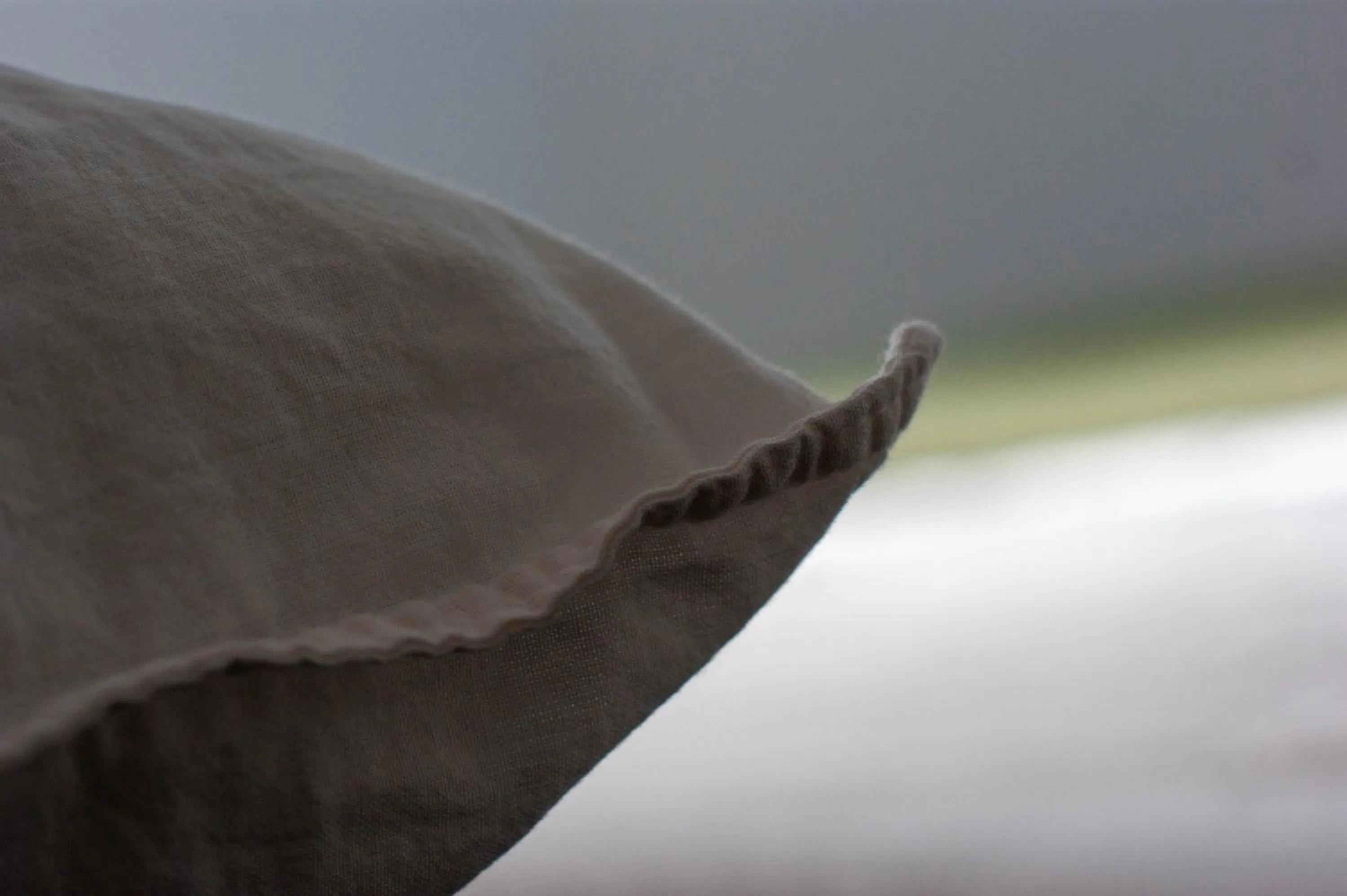 Decorative detail in Budget rooms Pilatus - Alpnachstad