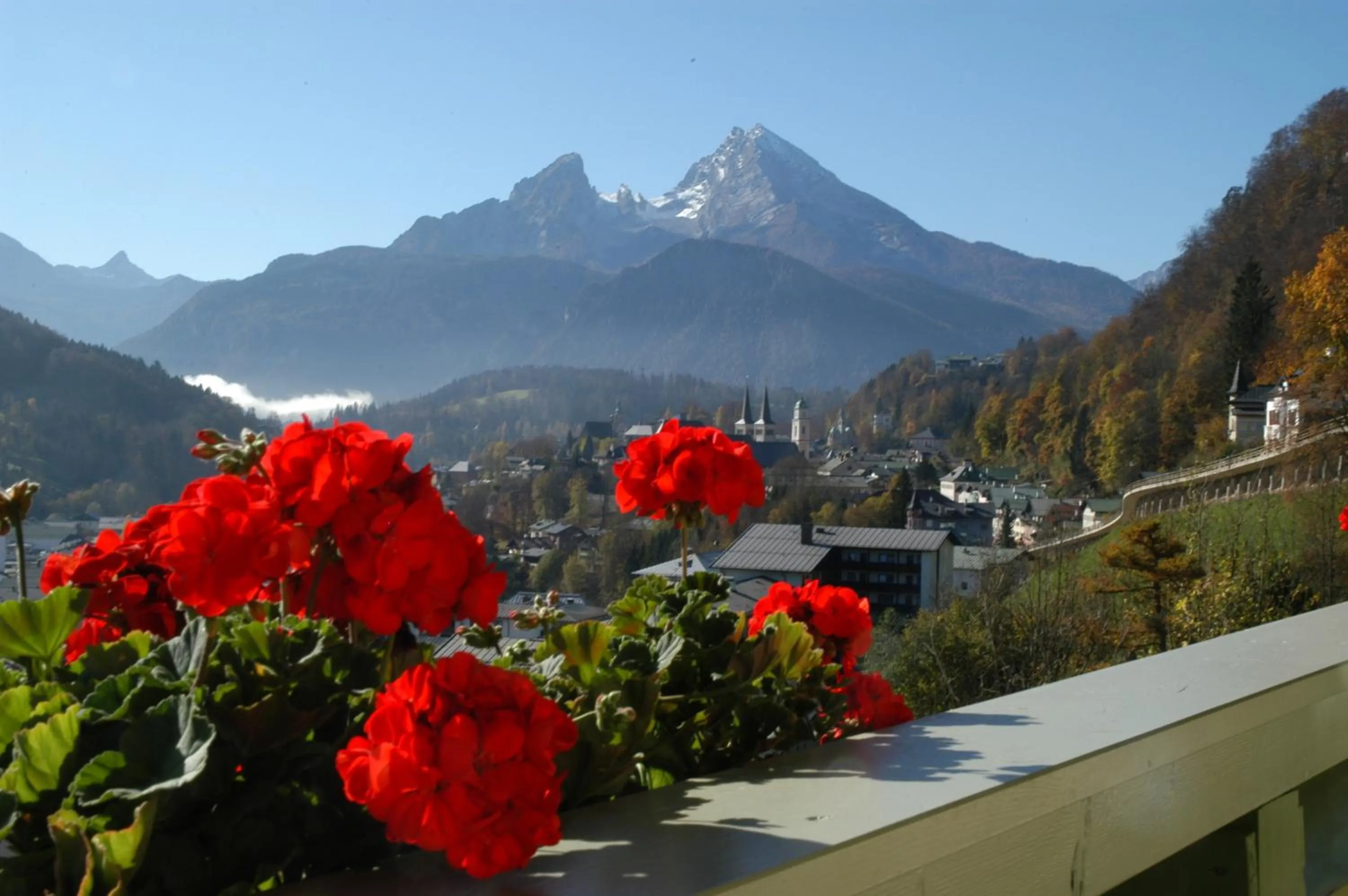 Natural landscape in Hotel Krone
