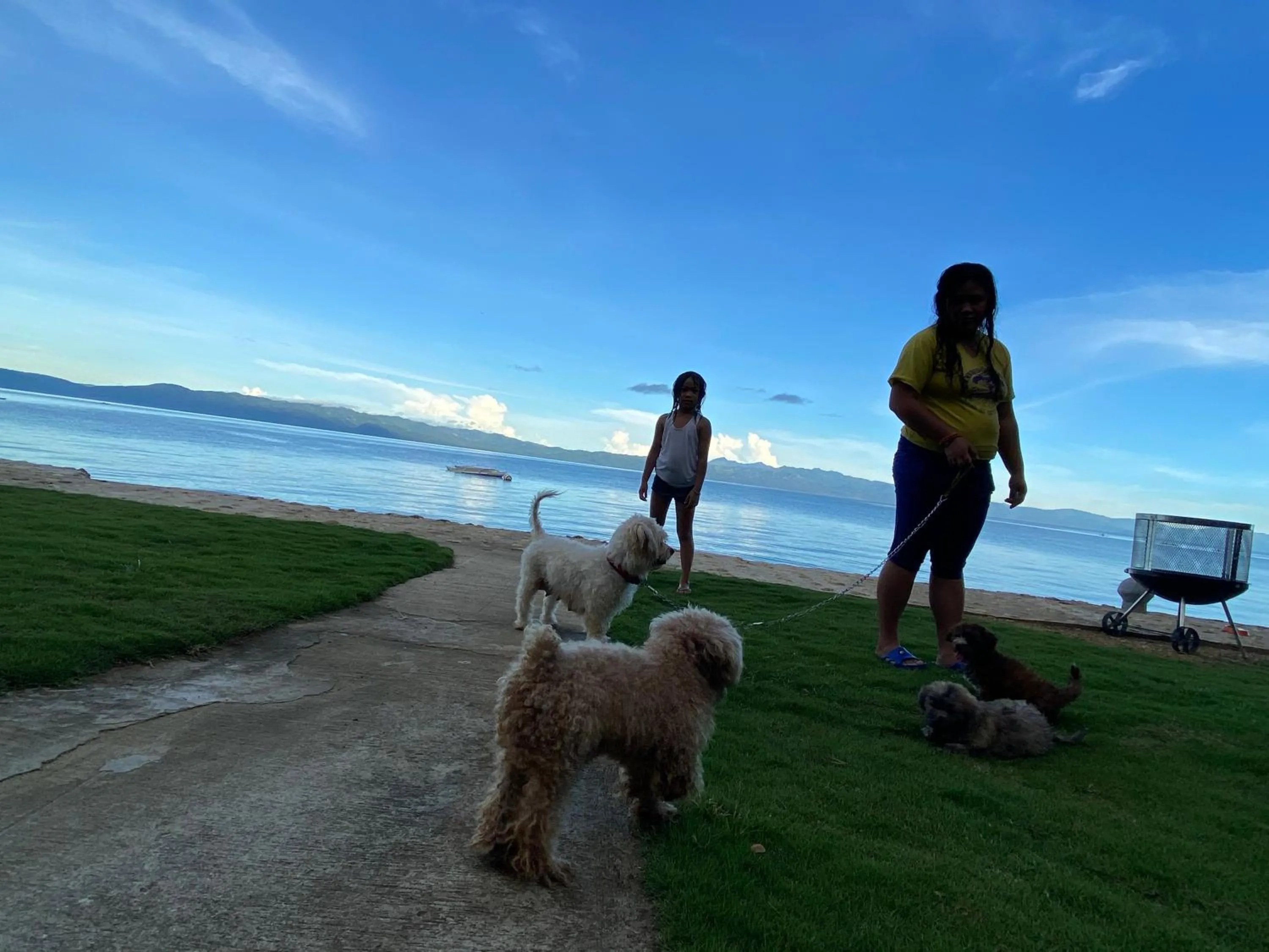 Pets in Rio Beach Resort