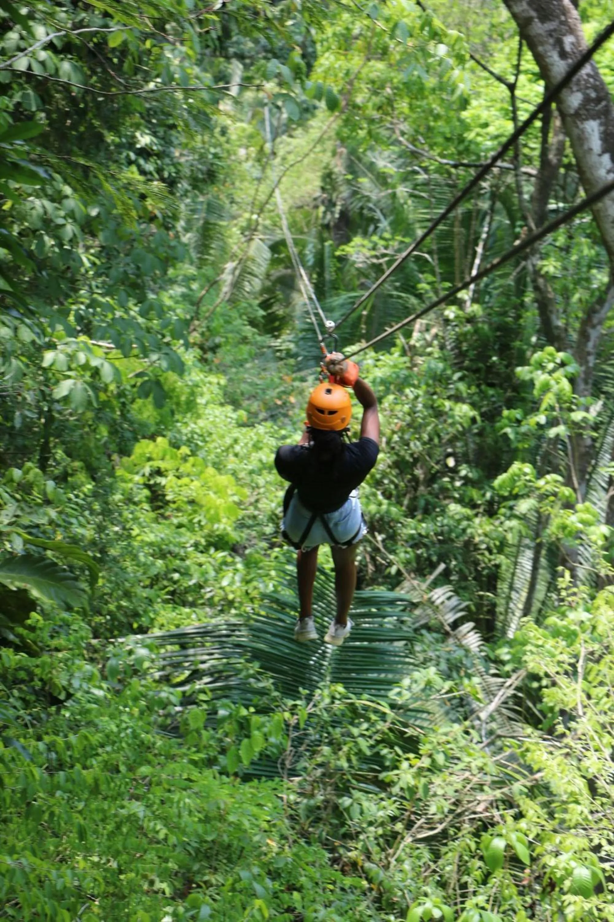 Other in Alaia Belize, Autograph Collection