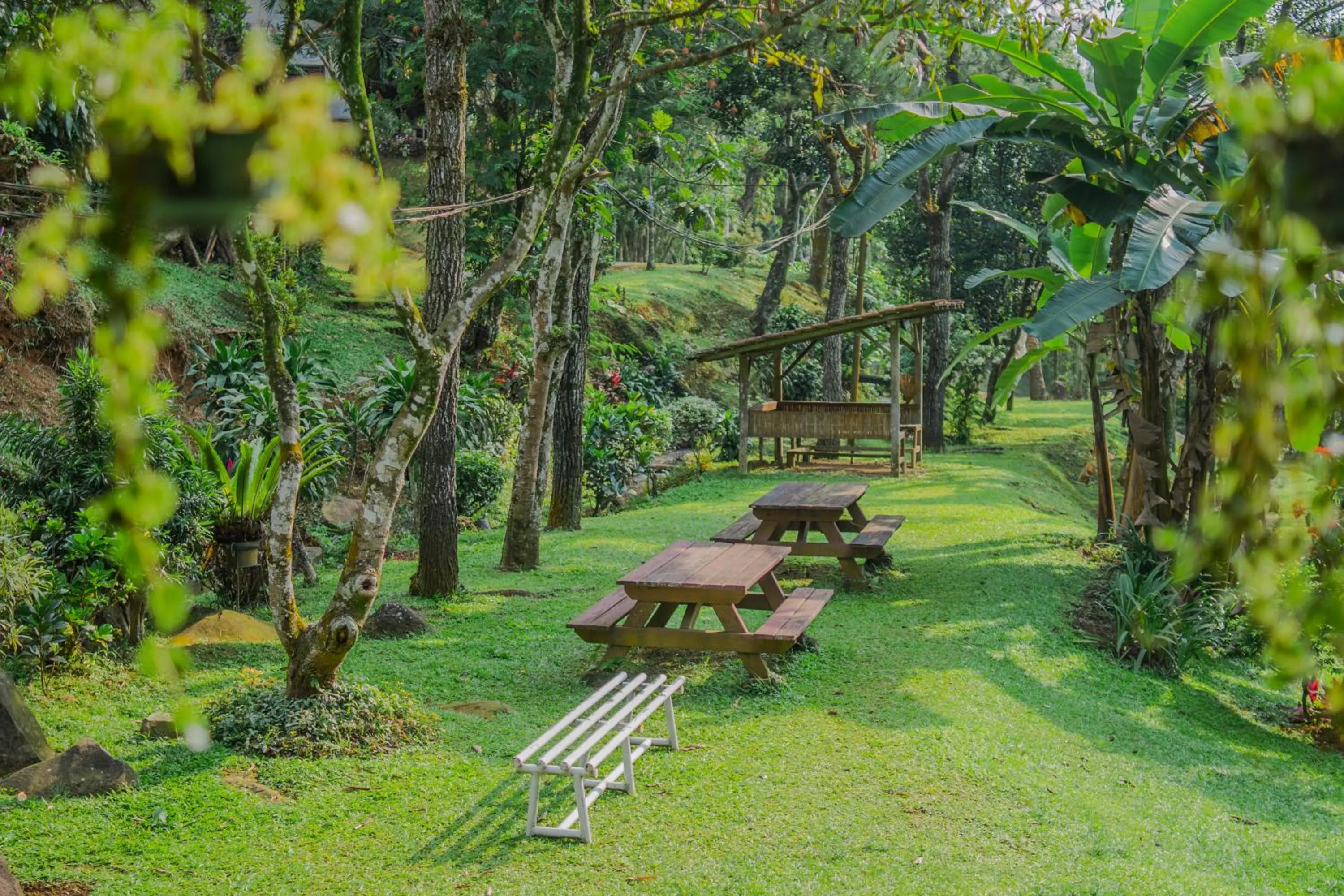 Garden in Griya Dunamis by SABDA