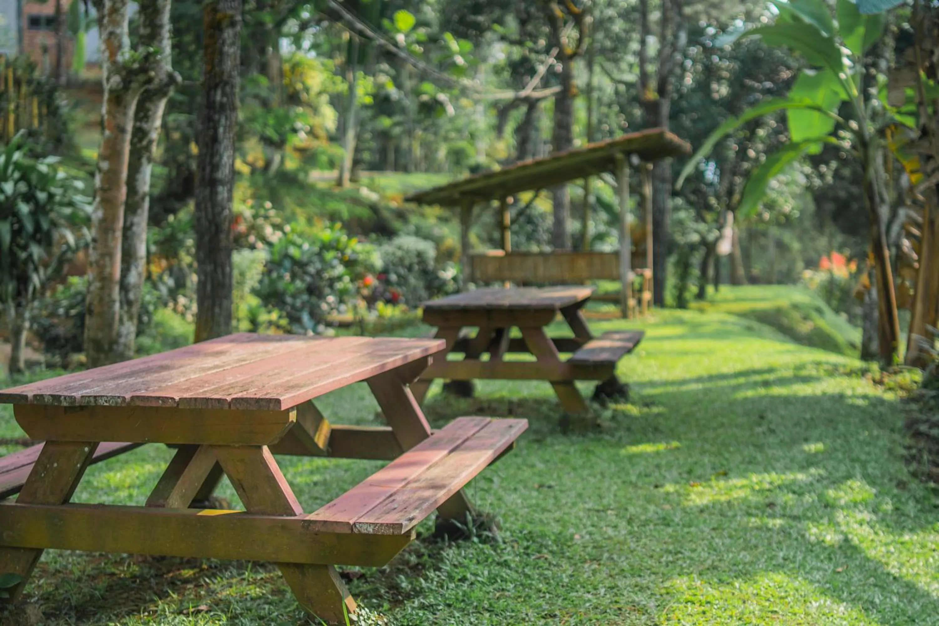 Garden in Griya Dunamis by SABDA