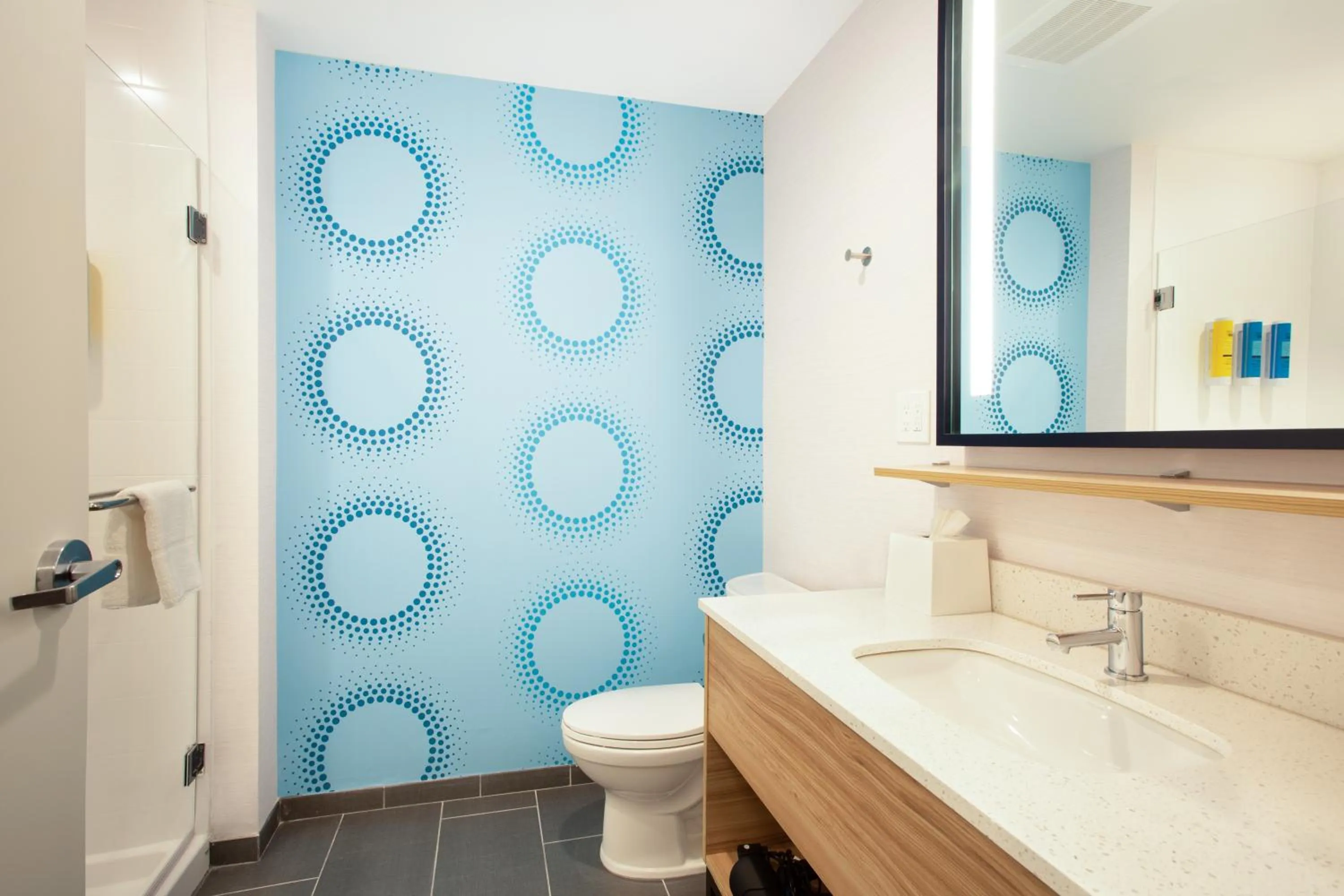 Bathroom in Tru by Hilton Asheville Blue Ridge Parkway