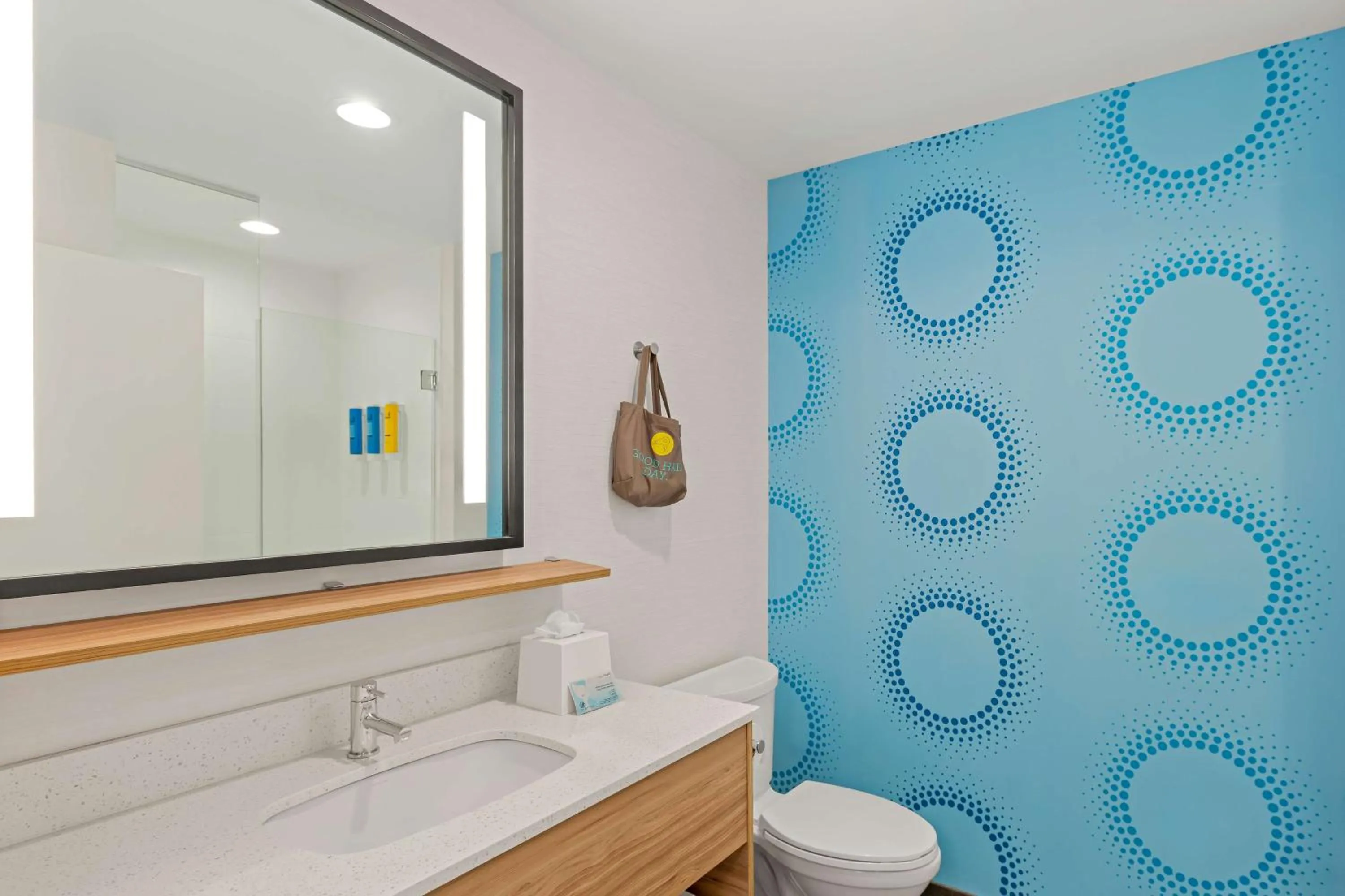 Bathroom in Tru by Hilton Asheville Blue Ridge Parkway