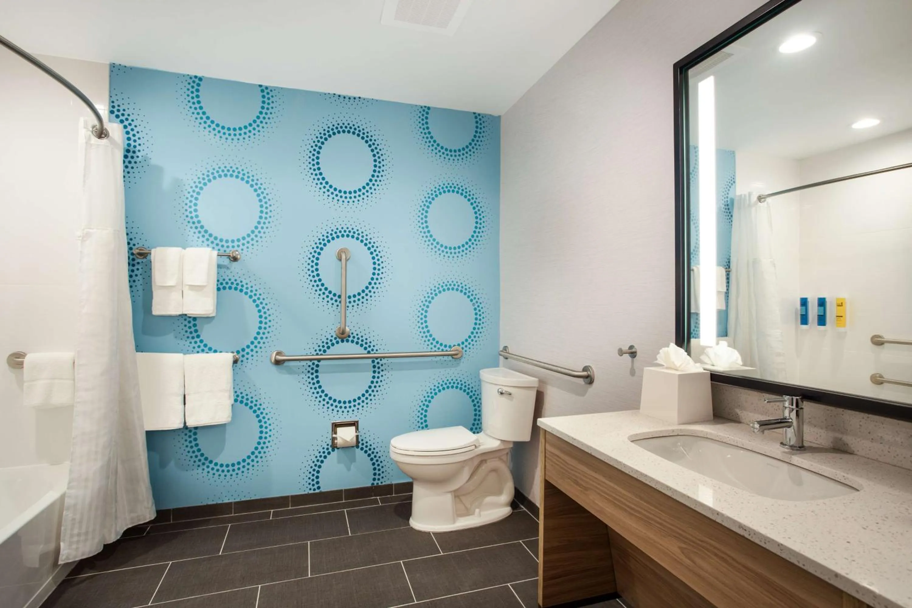 Bathroom in Tru by Hilton Asheville Blue Ridge Parkway