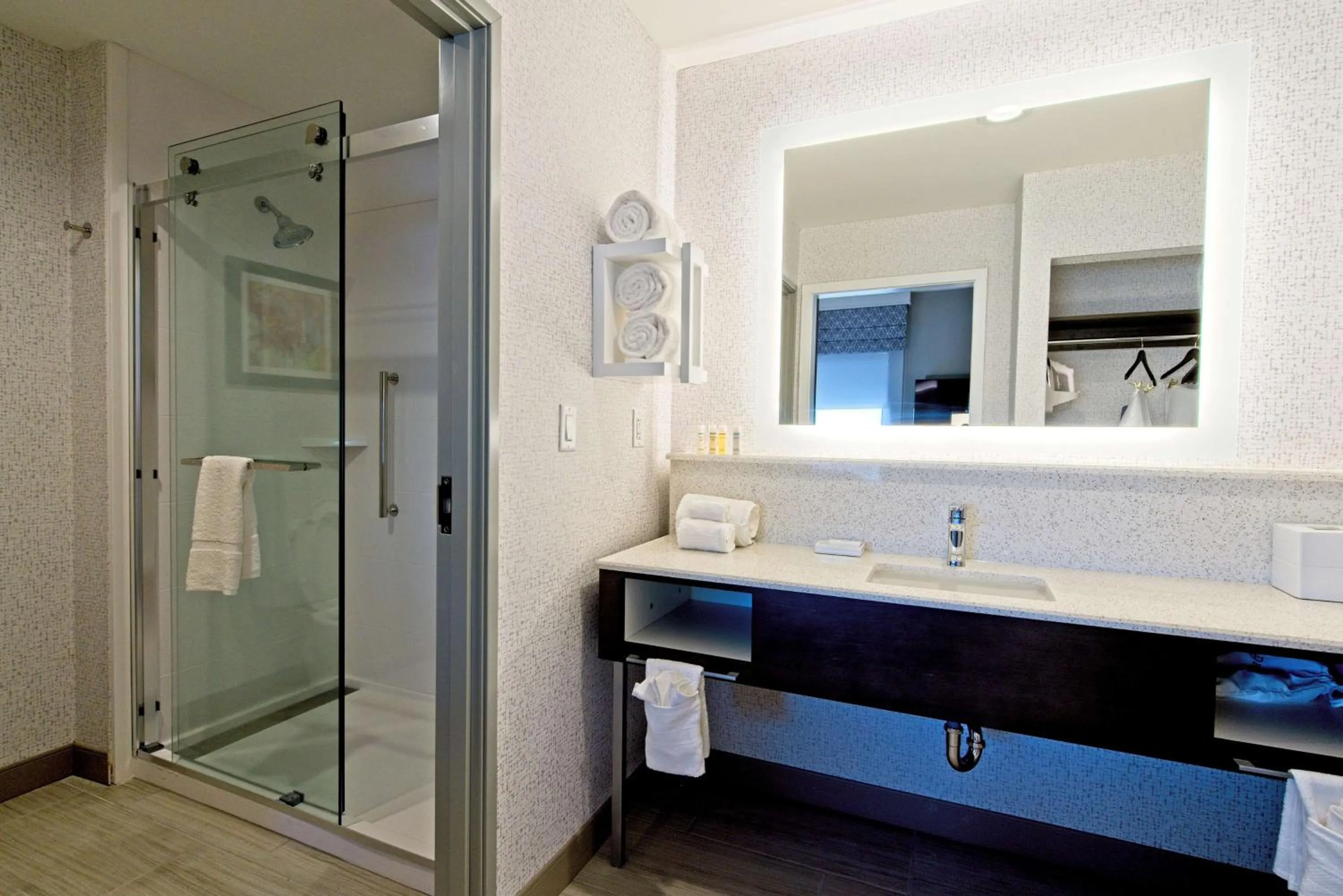 Bathroom in Hampton Inn & Suites Lubbock University, Tx