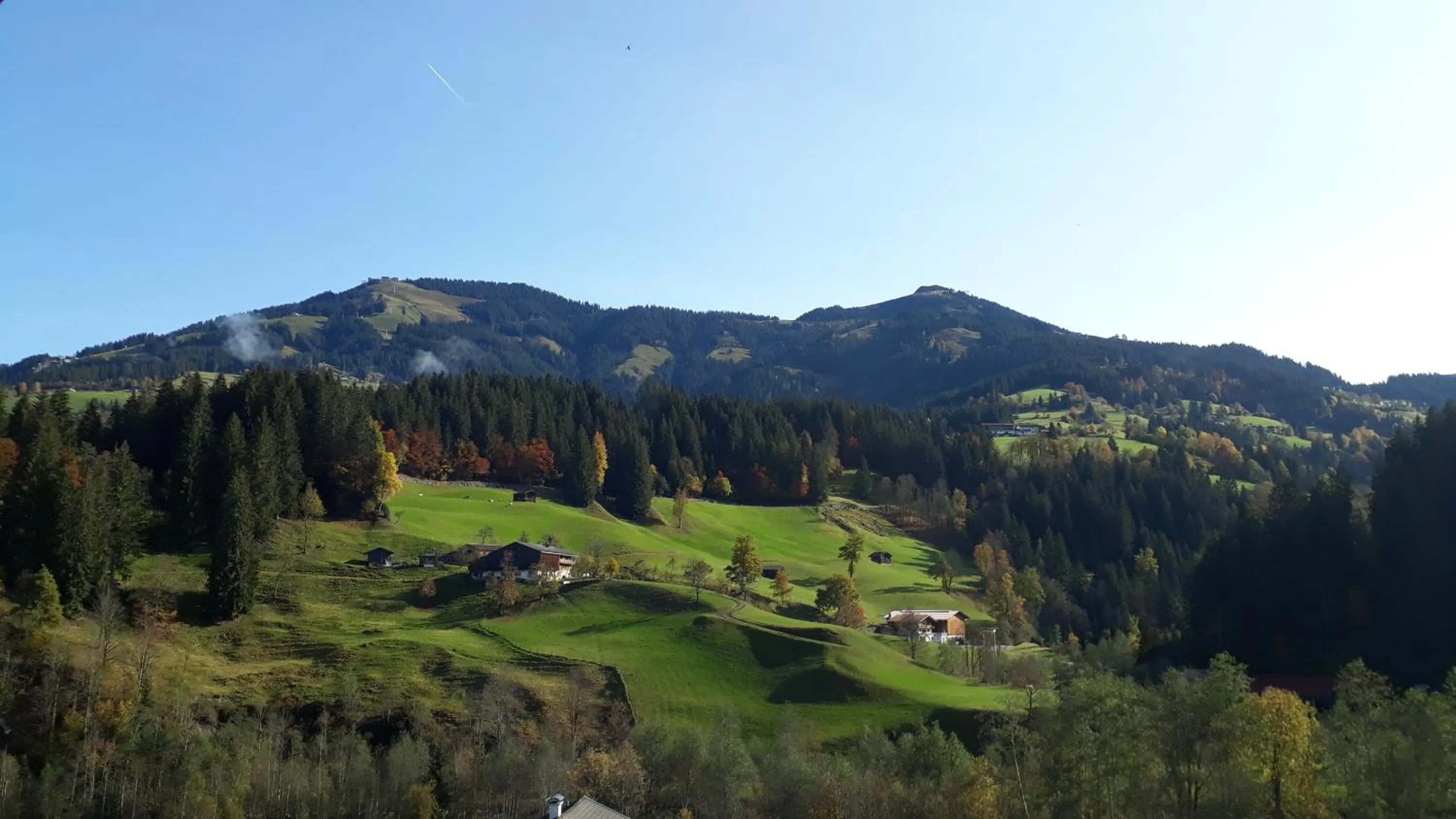 Oberfasser