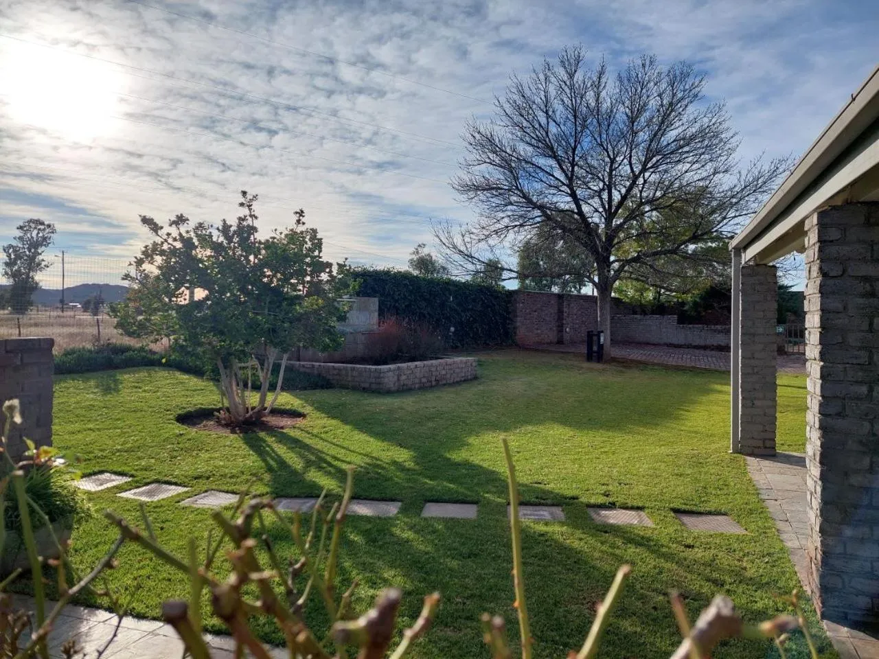 Garden in Aloes Guest House 62 on Meintjies