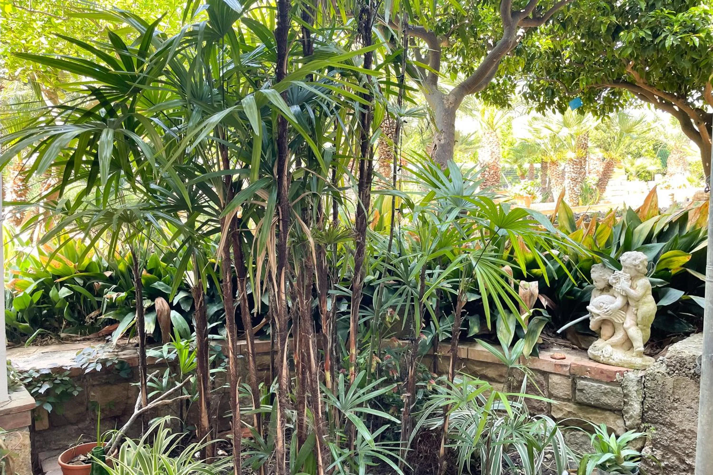 Garden in Villa Caterina - Solemar Sicilia