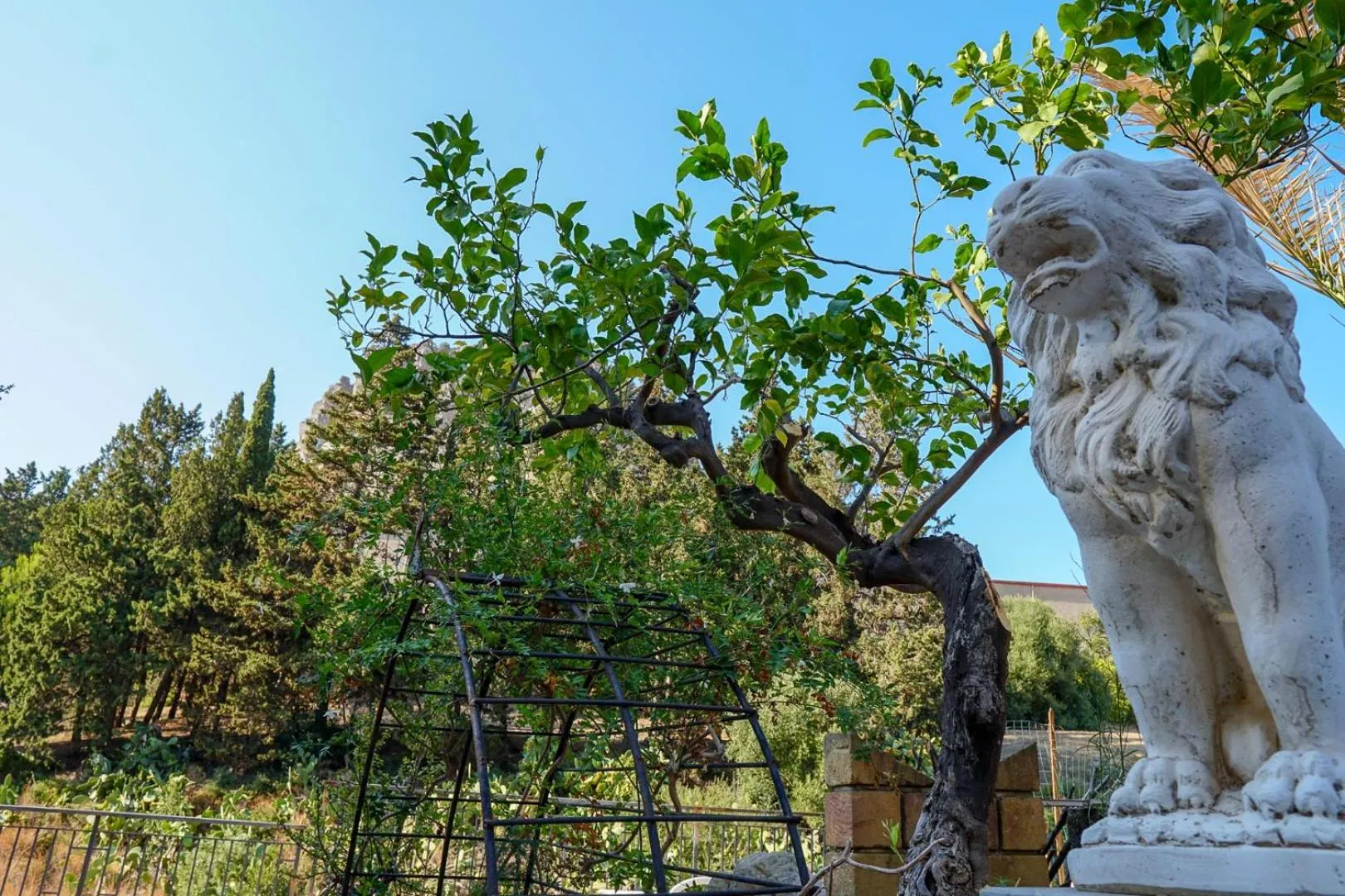 Garden in Villa Caterina - Solemar Sicilia