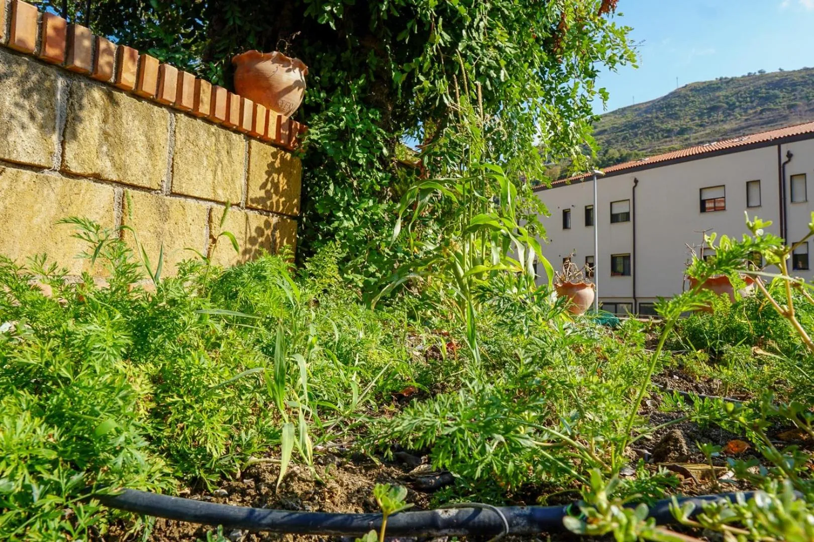 Garden in Villa Caterina - Solemar Sicilia