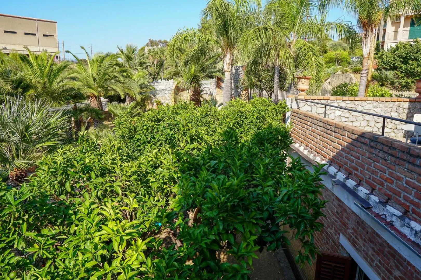 Garden in Villa Caterina - Solemar Sicilia