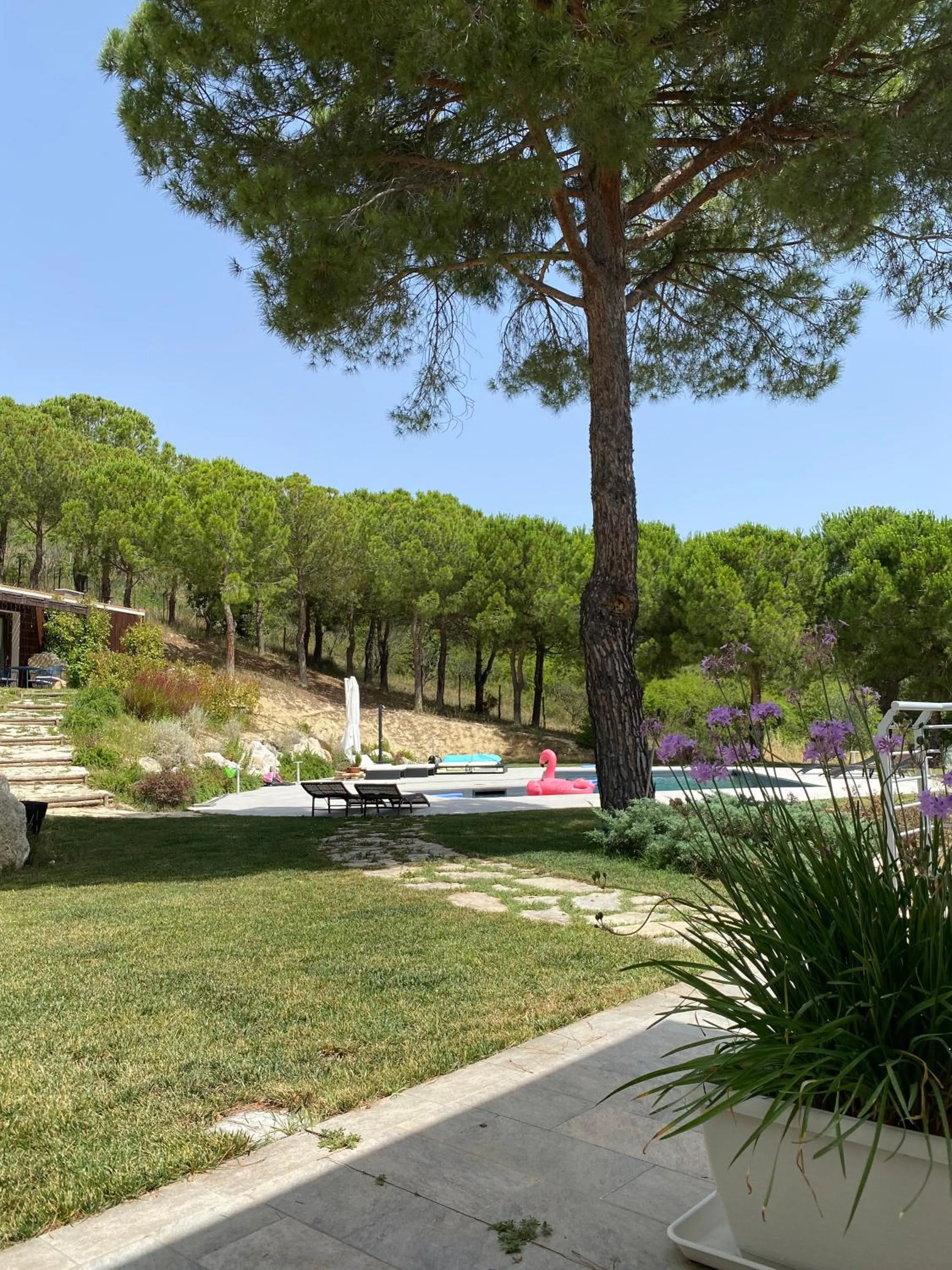 Day in GreenValley BnB