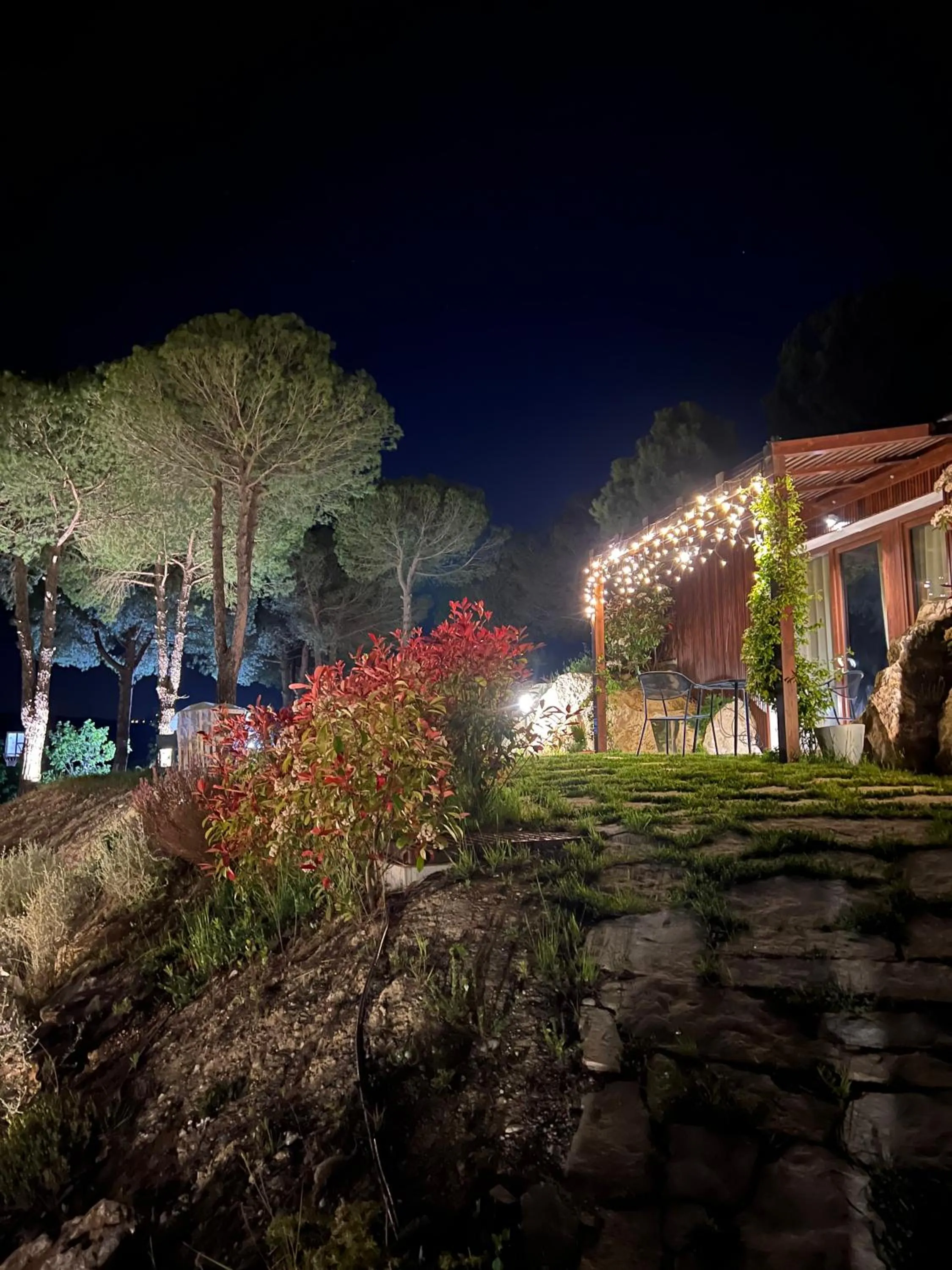 Night in GreenValley BnB