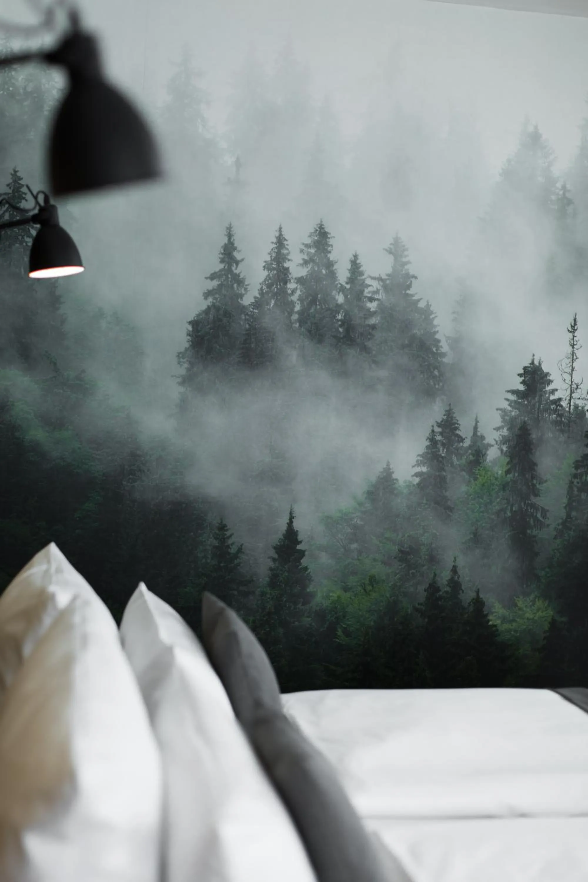 Photo of the whole room in Hotel Nickisch