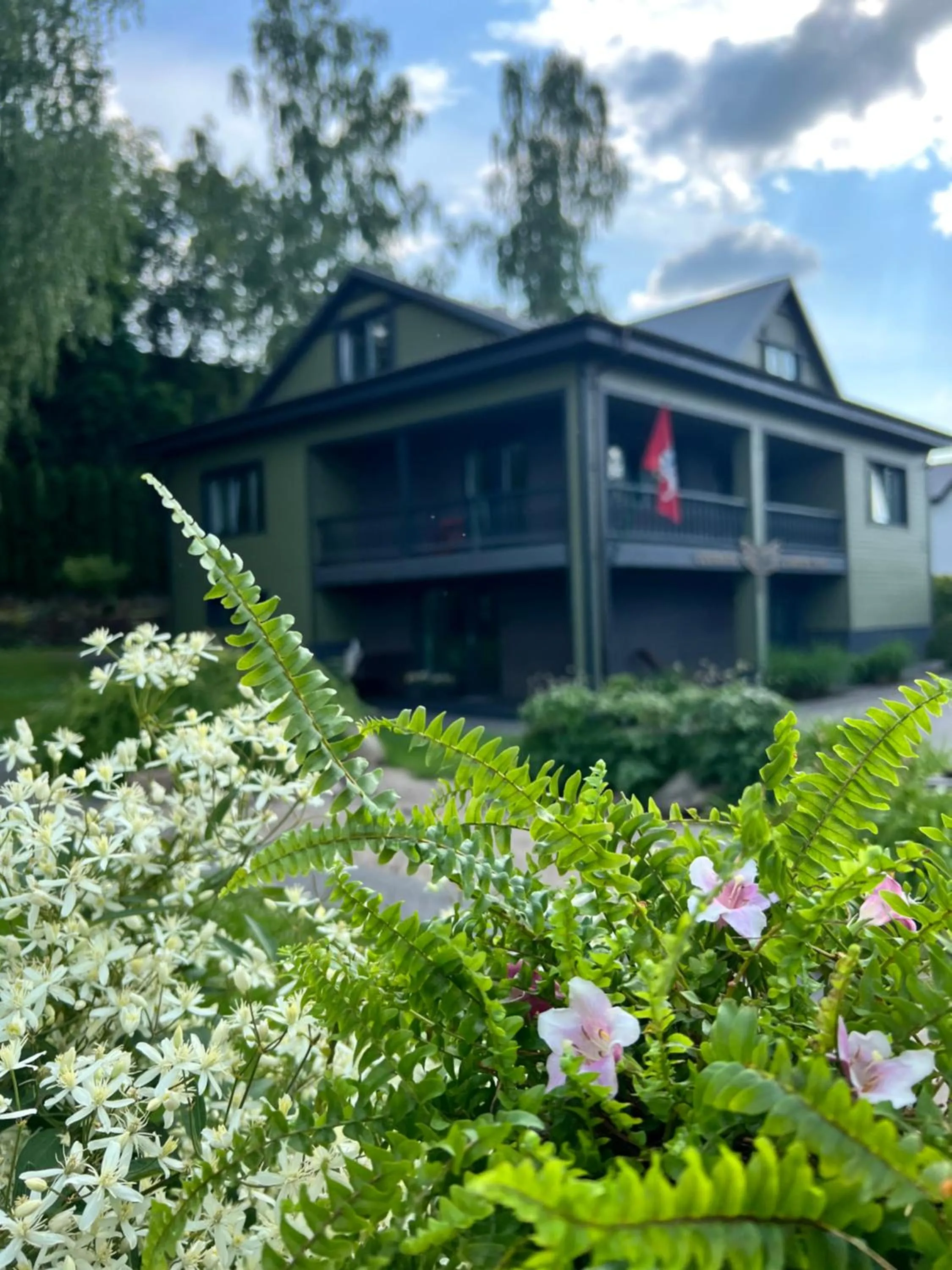 Property building in "Parko vila" Anykščiai