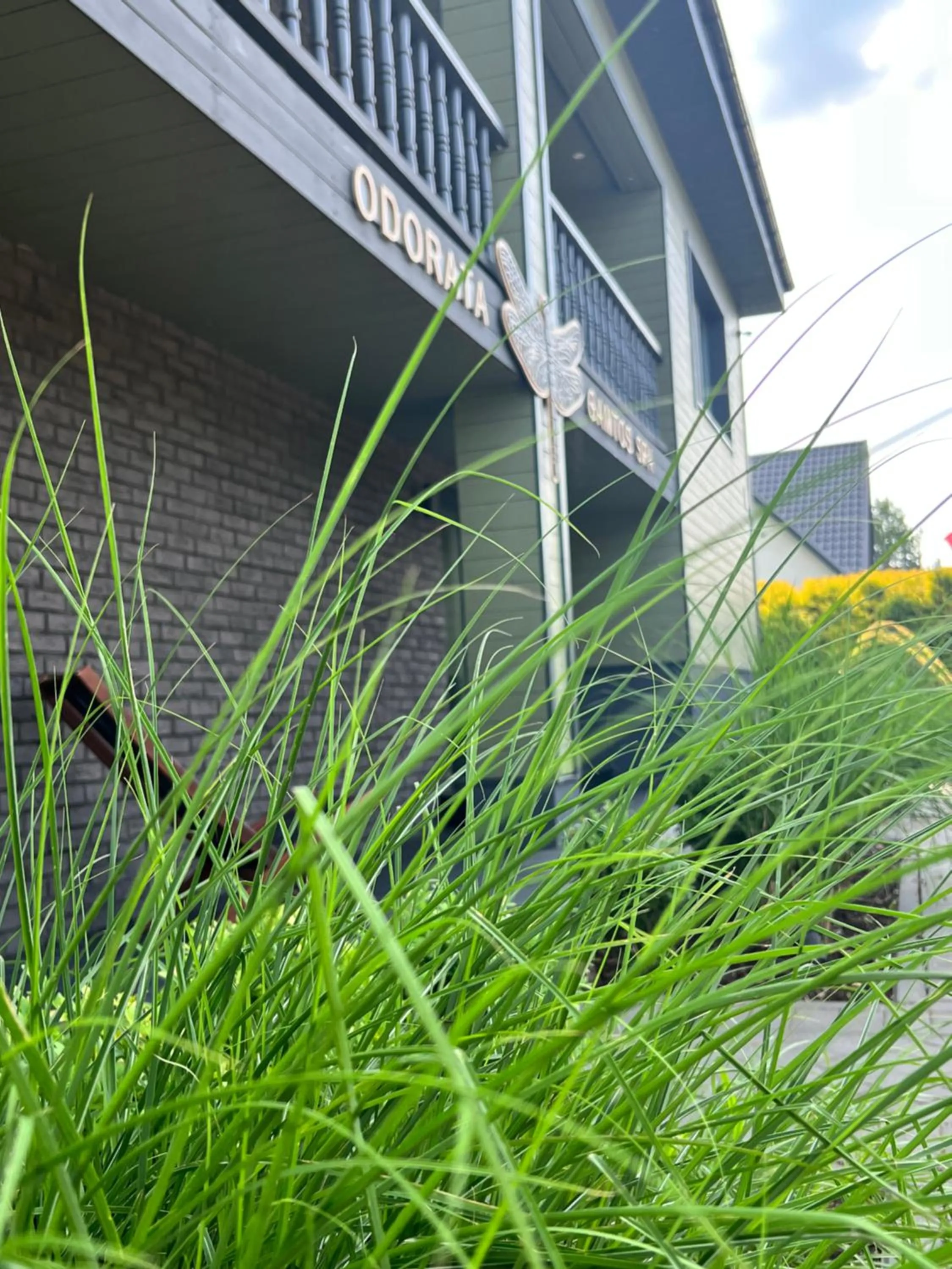 Property building in "Parko vila" Anykščiai