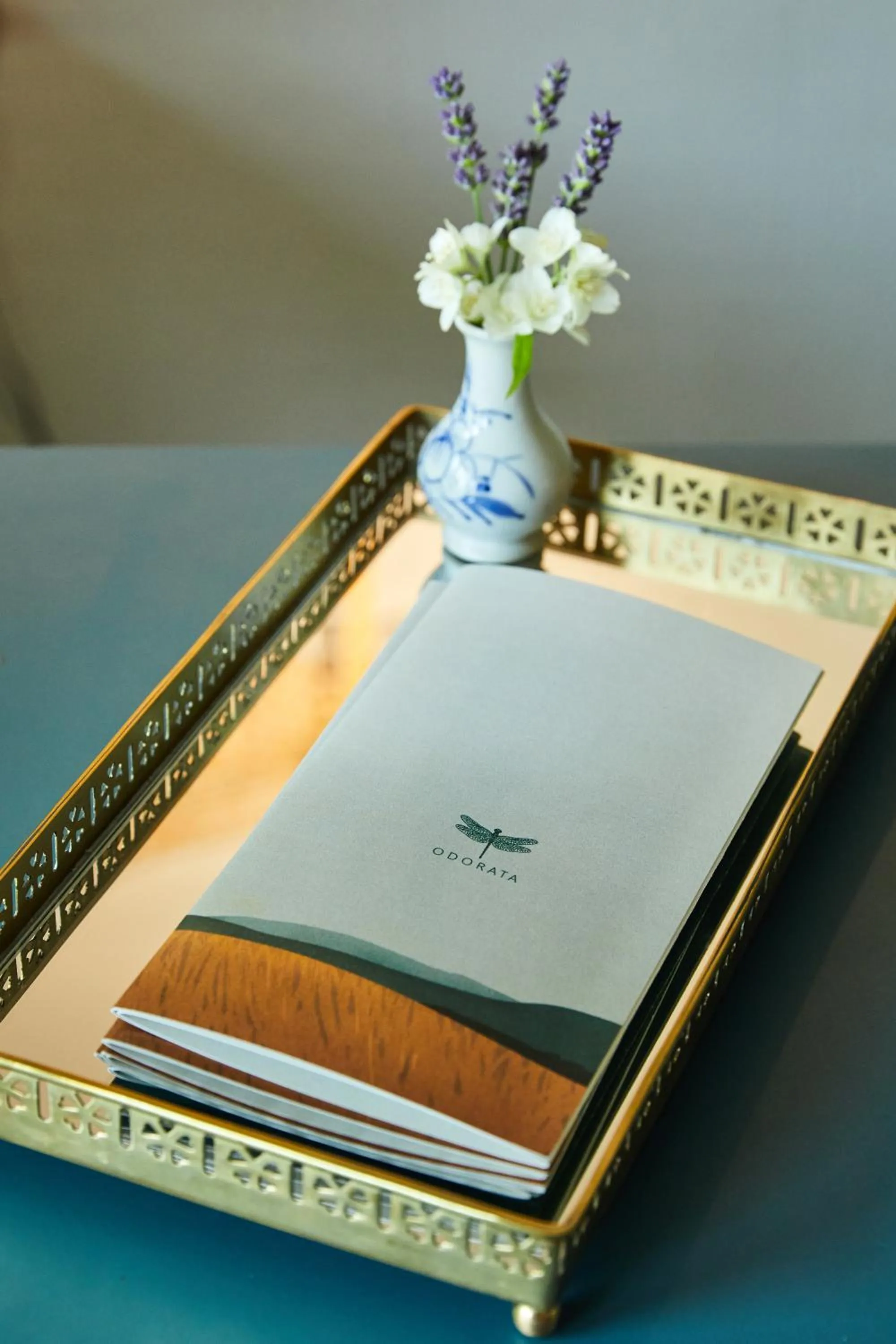 Spa and wellness centre/facilities in "Parko vila" Anykščiai