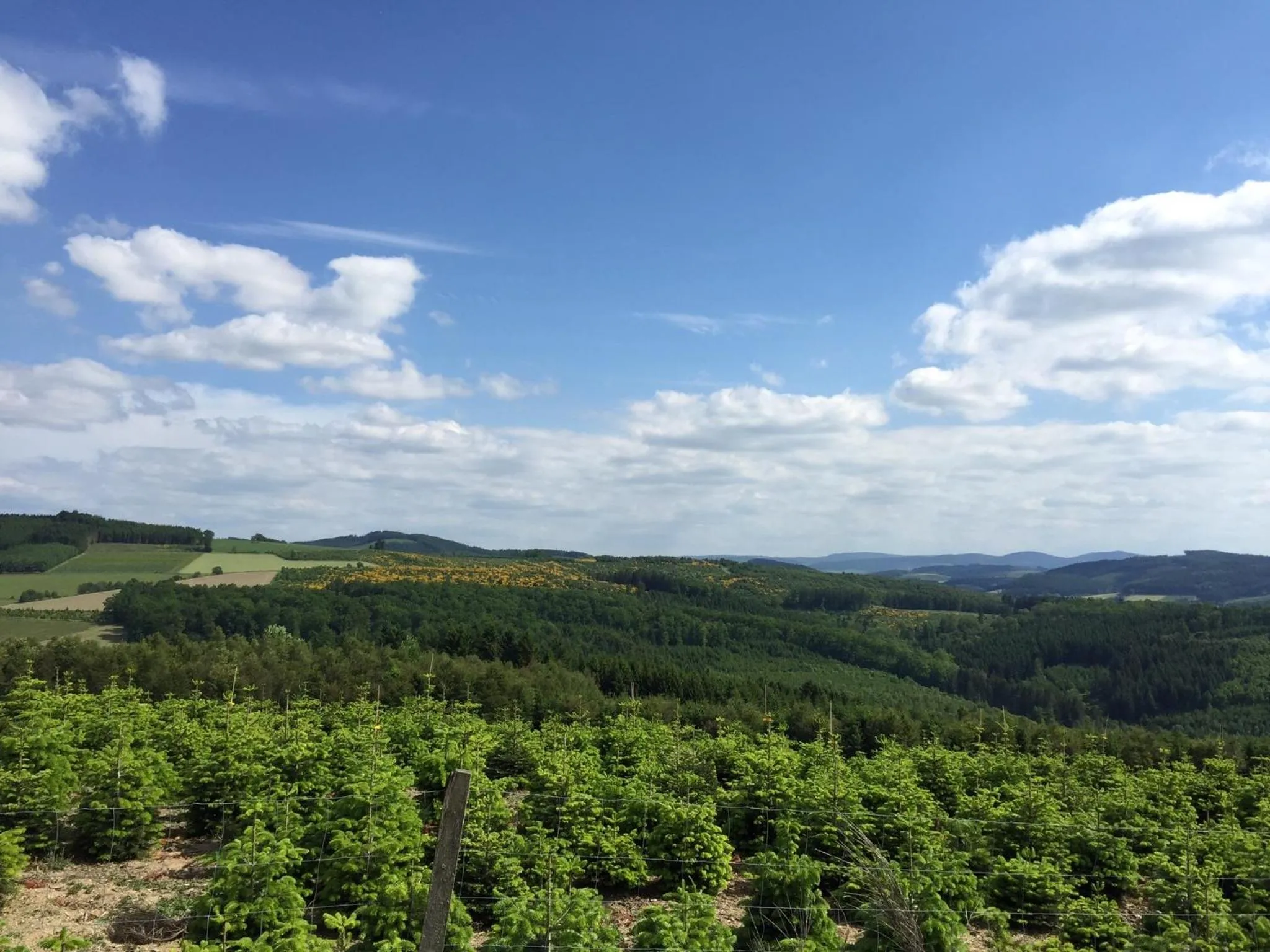 Natural landscape in Landidyll Hotel Haus Hochstein