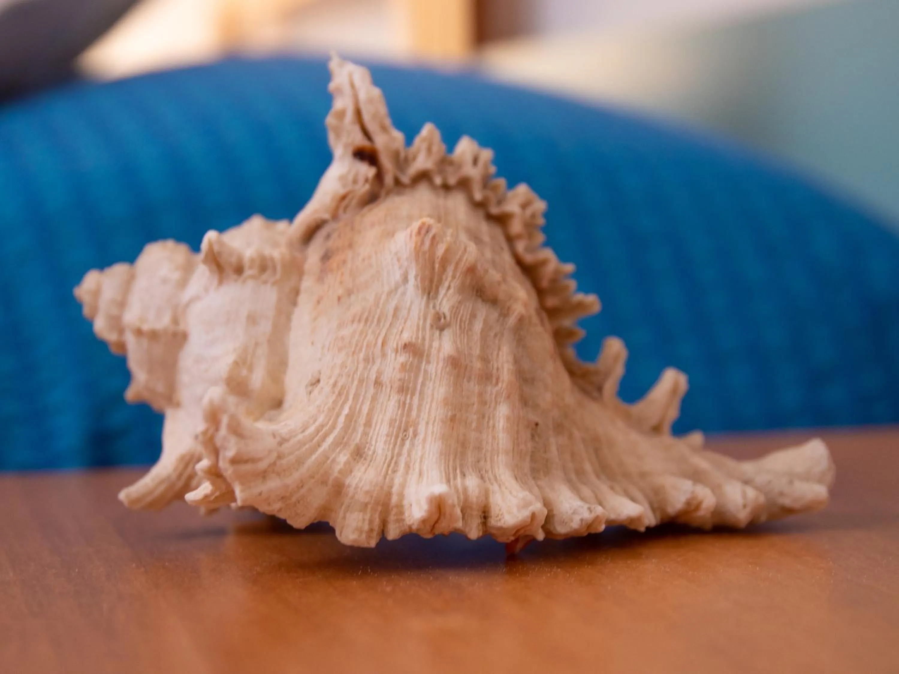 People in Hotel Merano