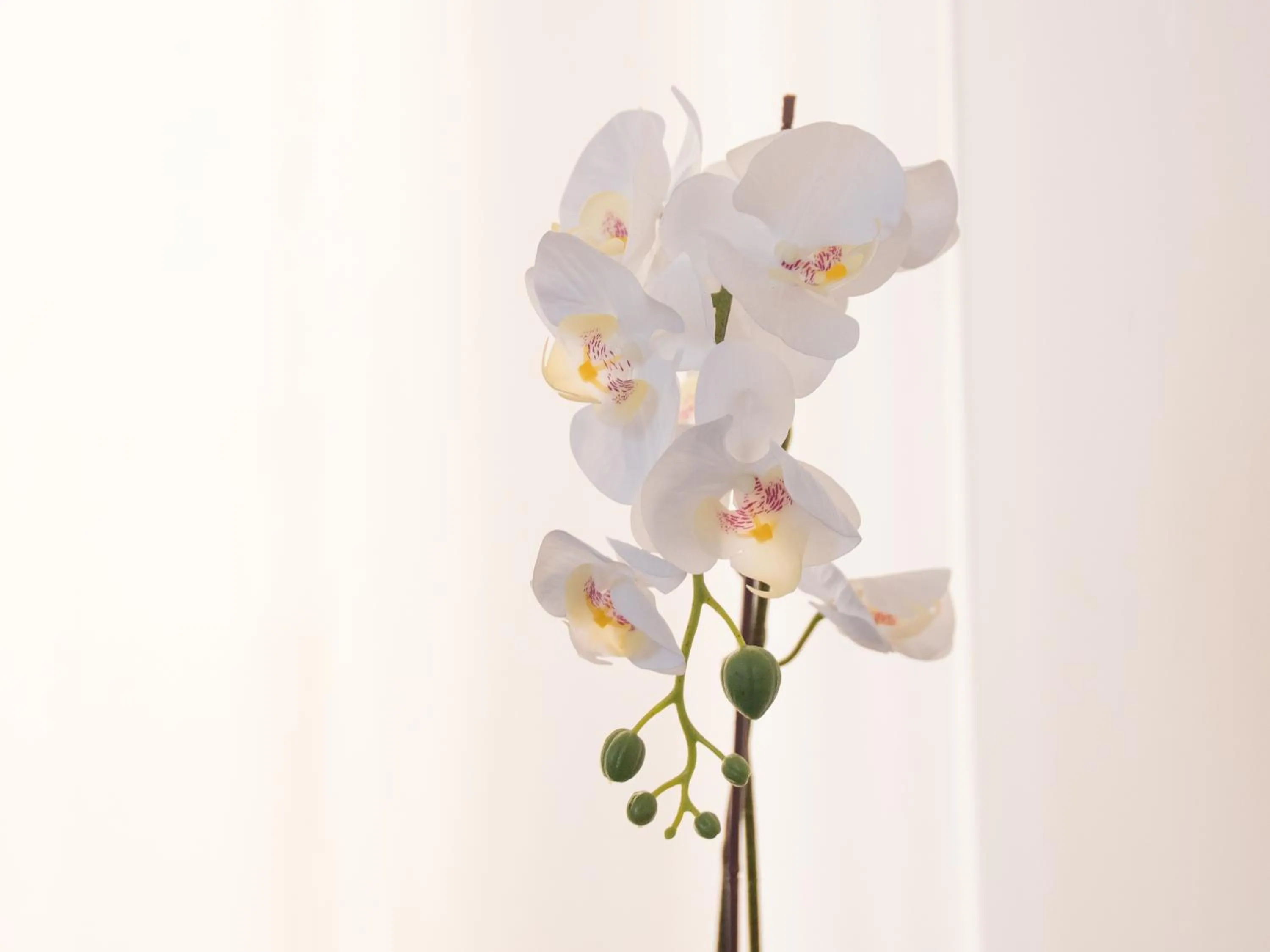 Decorative detail in Hotel Merano