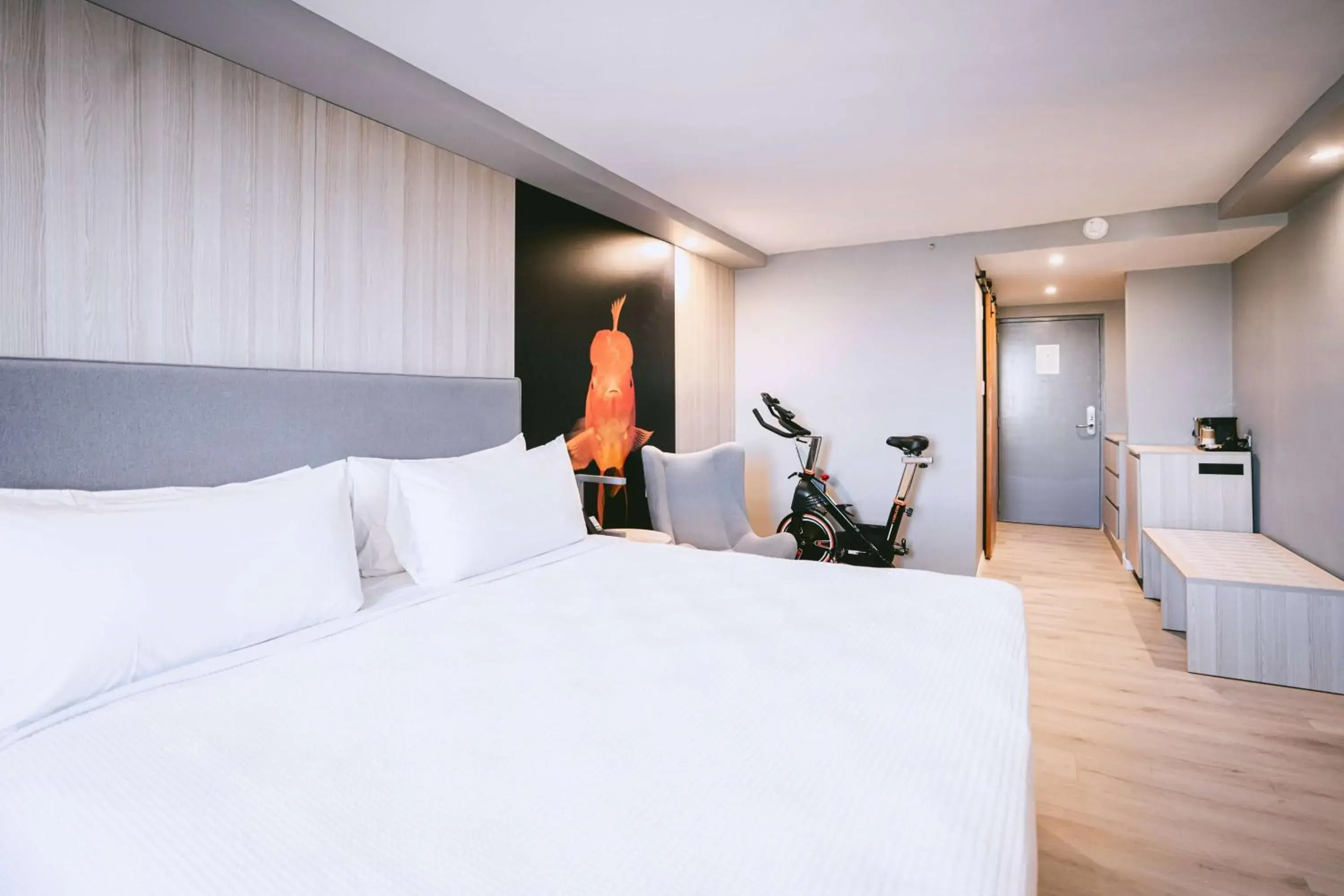 Photo of the whole room, Bed in TRYP by Wyndham Aruba Photo of the whole room, Bed in TRYP by Wyndham Aruba