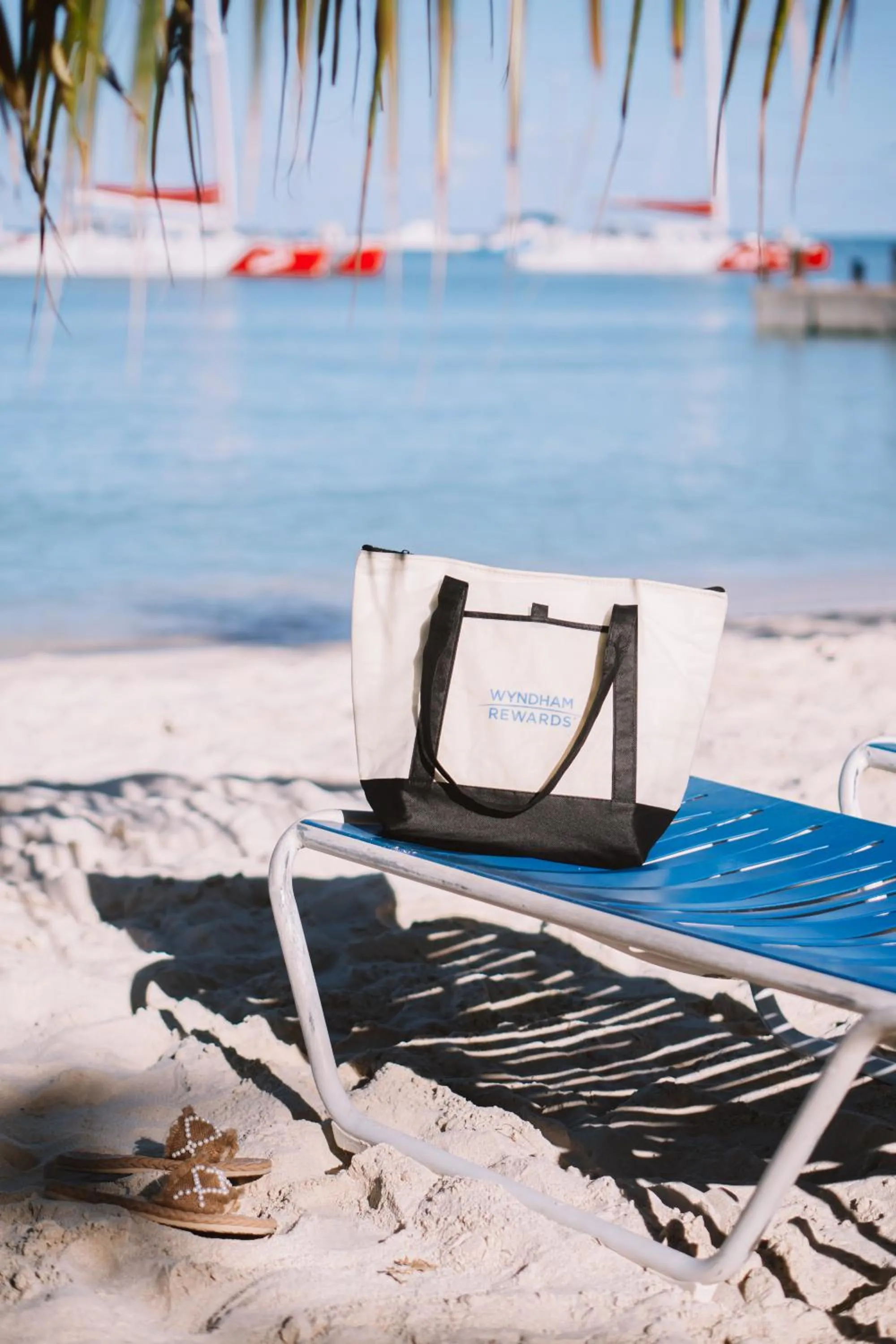 Beach in TRYP by Wyndham Aruba