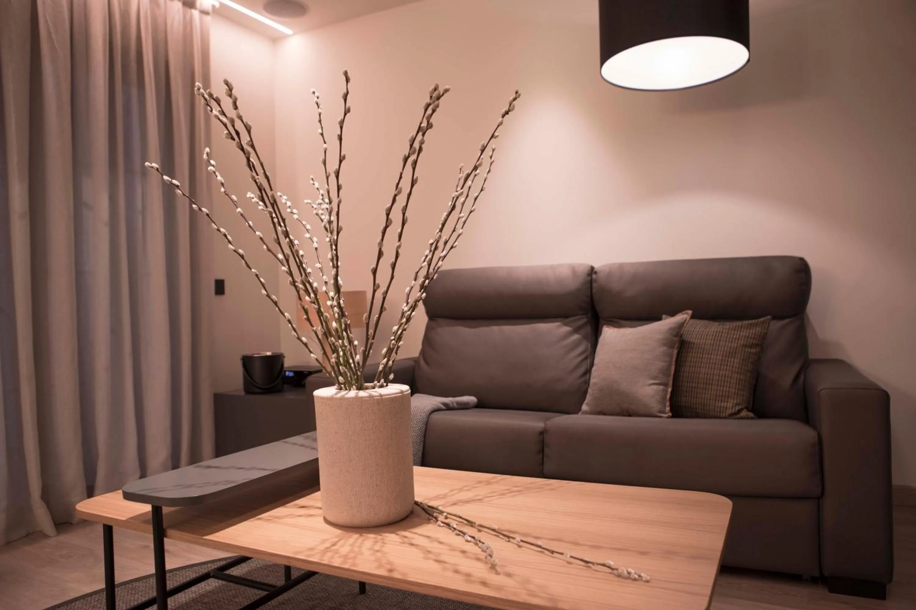 Living room in Vallivana Suites