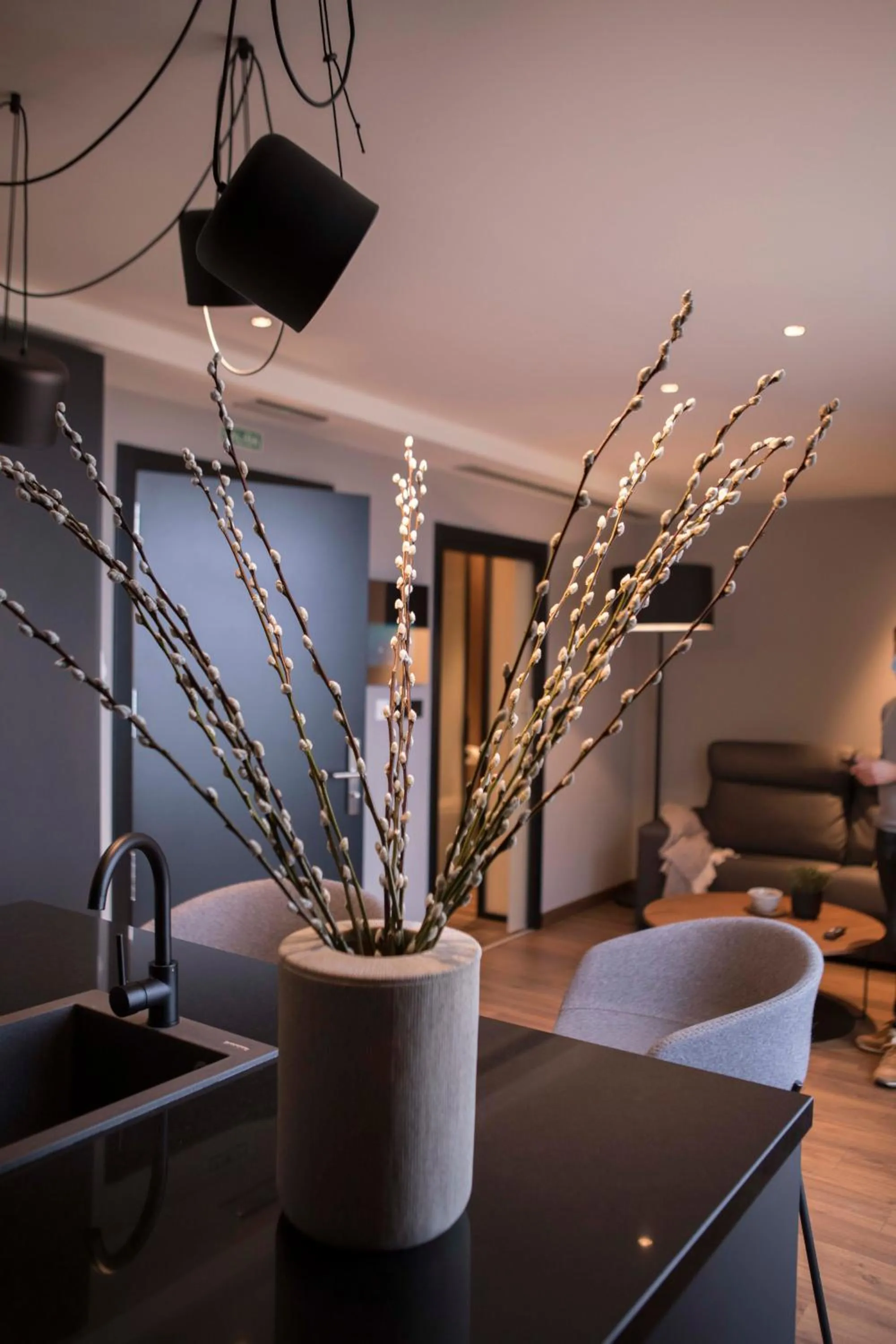 Living room in Vallivana Suites
