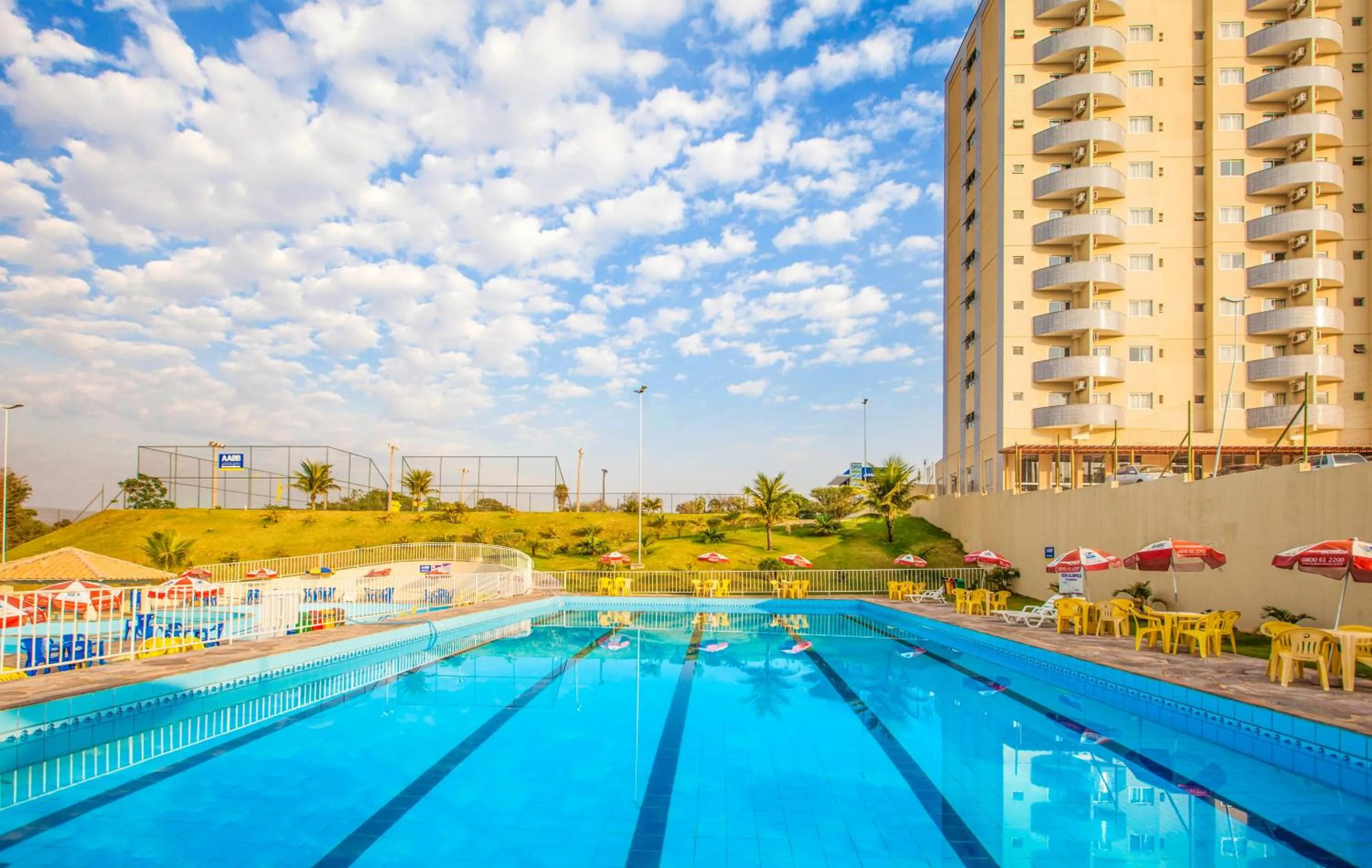 Golden Dolphin Express Oficial