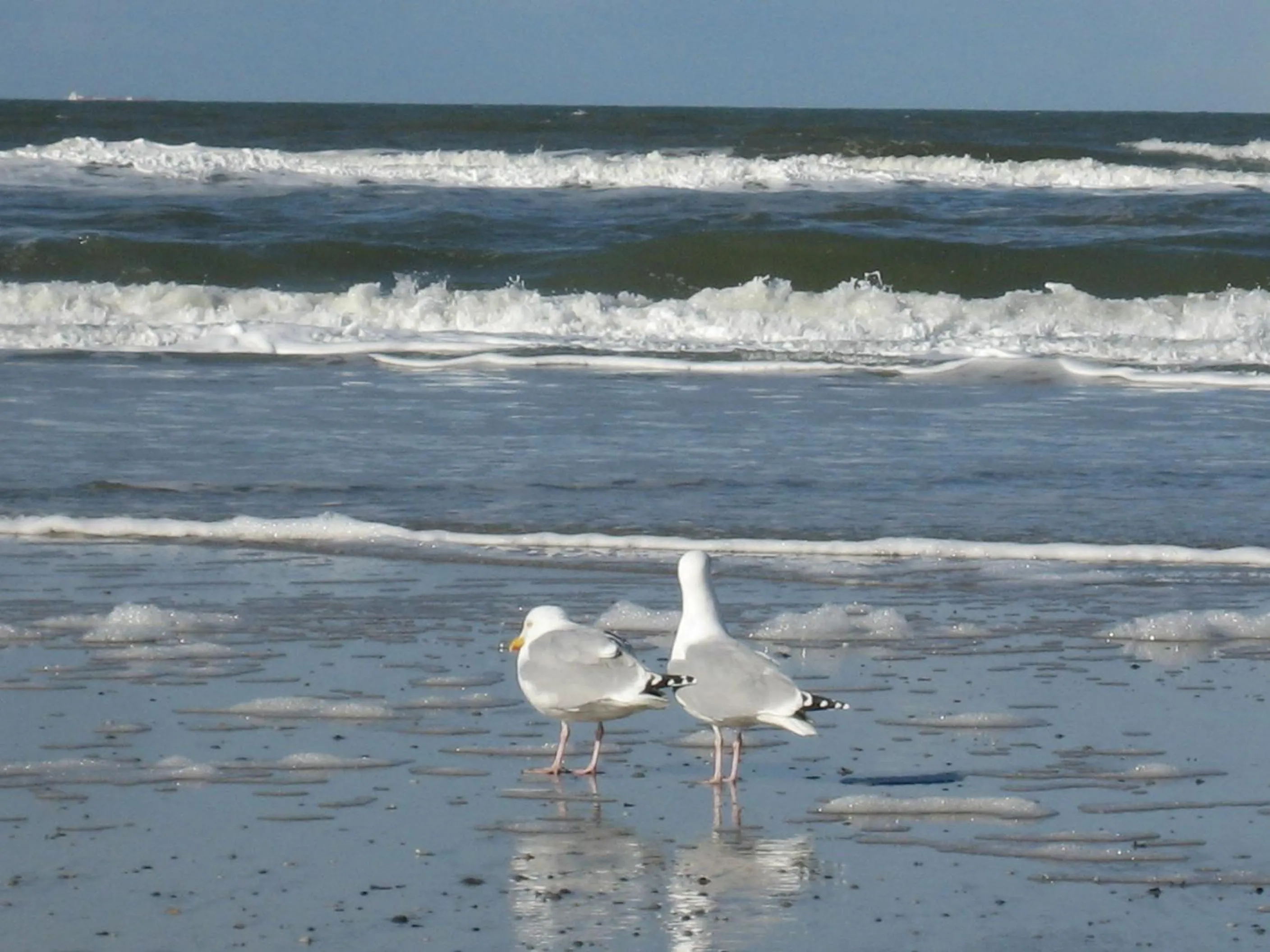 Area and facilities in Ringhotel Residenz Wittmund