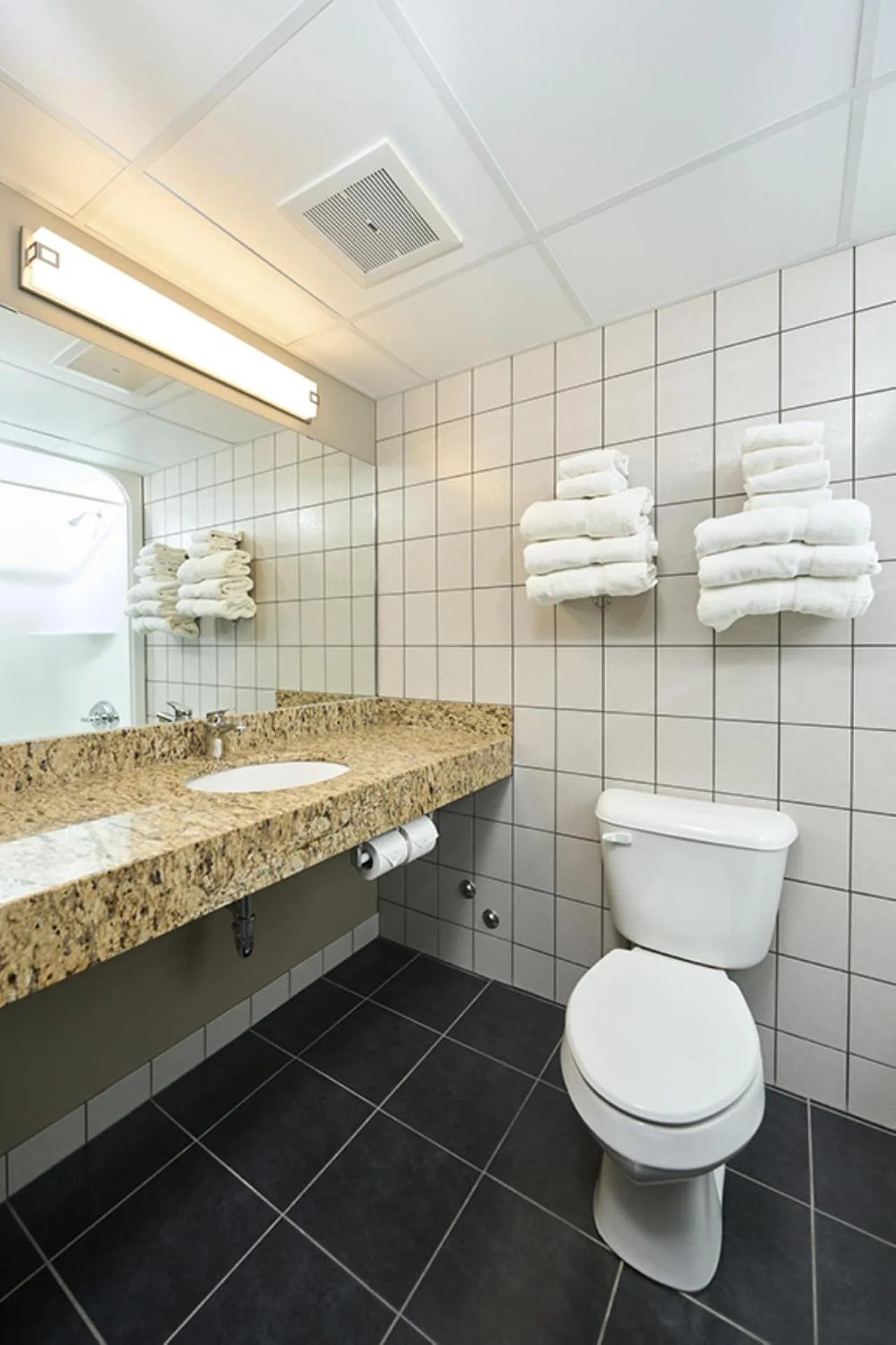 Bathroom in Canad Inns Destination Centre Transcona