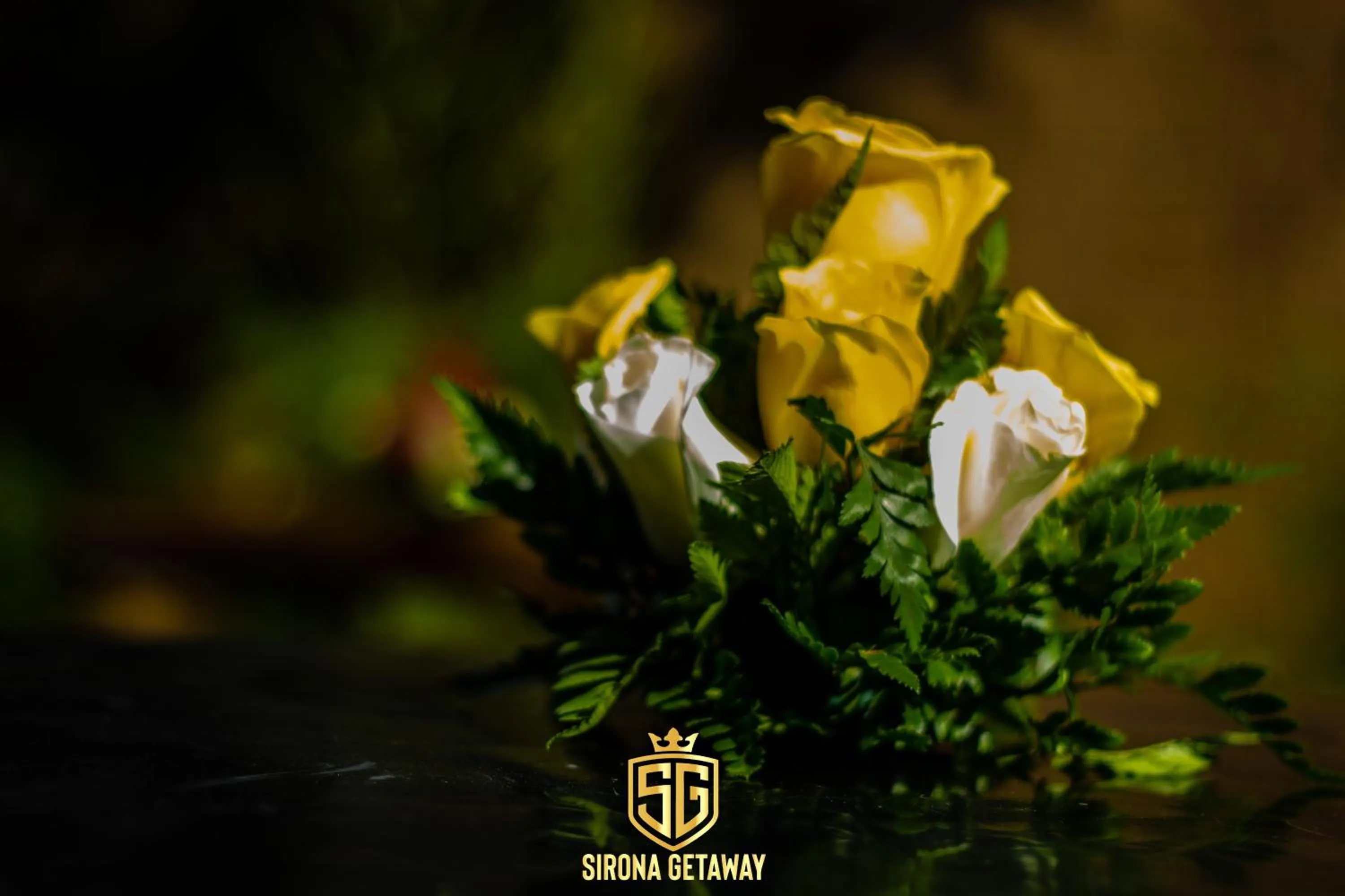 Garden in Sirona Getaway Hotel