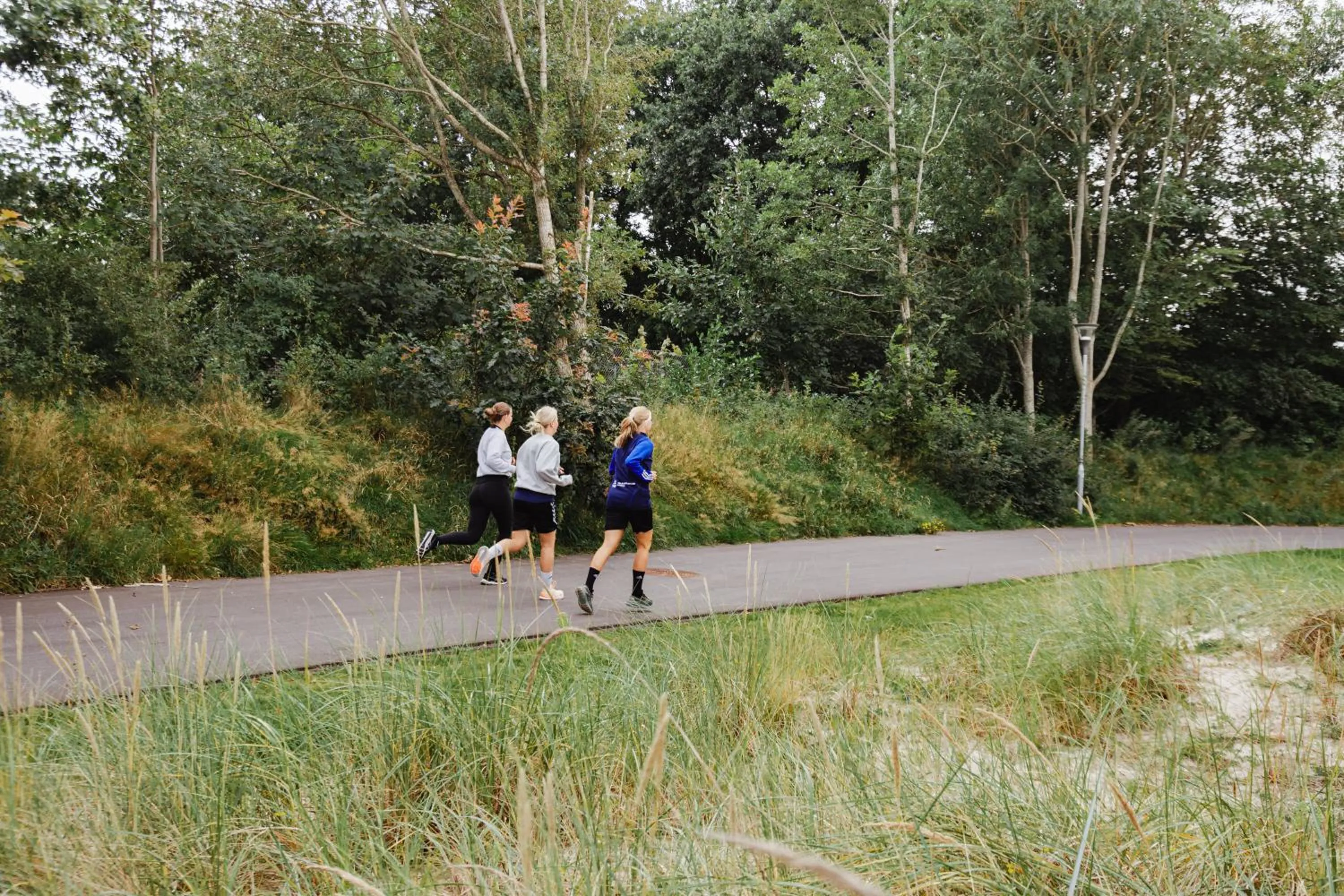 Area and facilities in Sportium Sportel