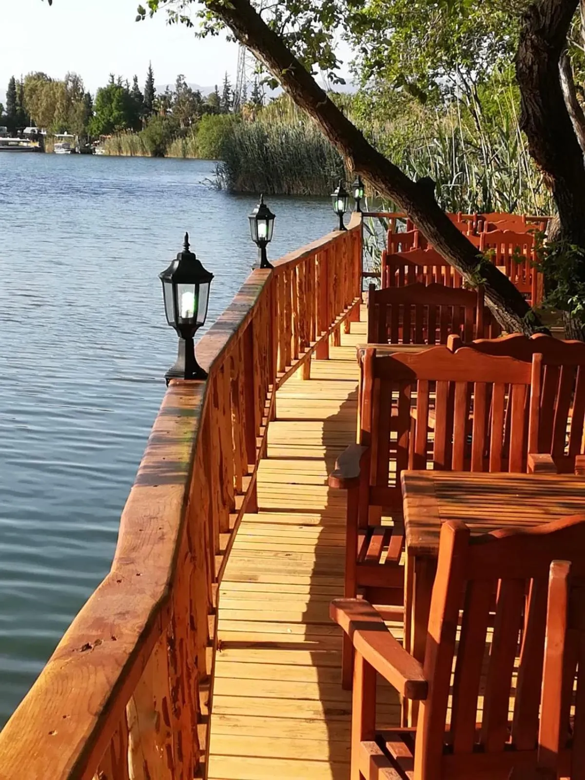 Garden view in Dalyan YUNUS HOTEL