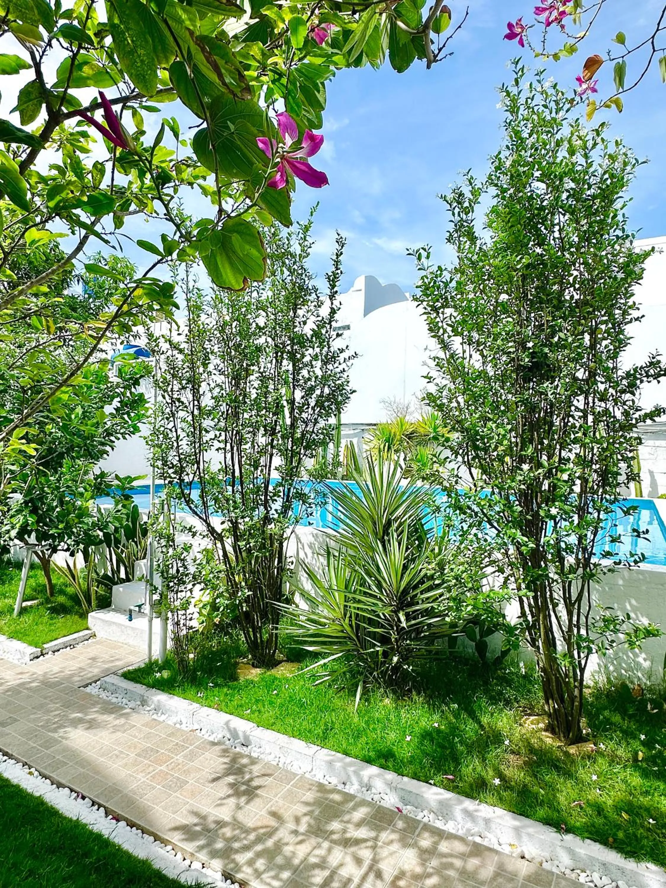 Moonbeam Homestay & Mini-resort Mui Ne