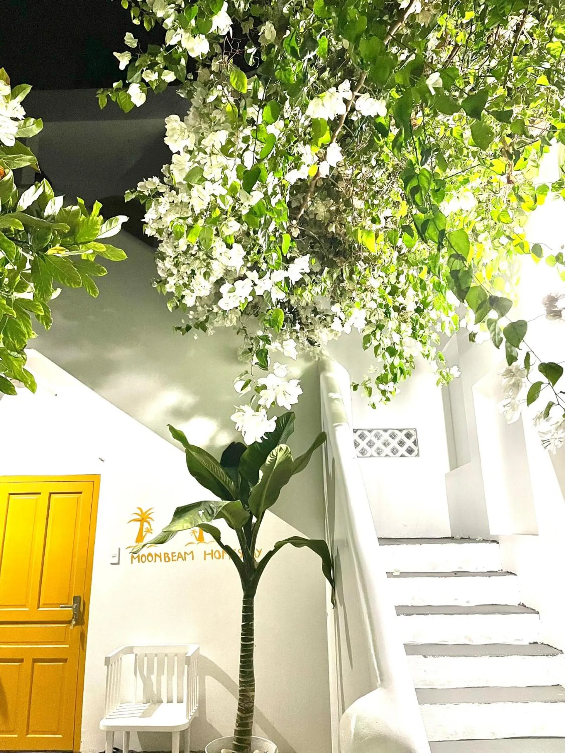 Superior Double Room - single occupancy in Moonbeam Homestay & Mini-resort Mui Ne