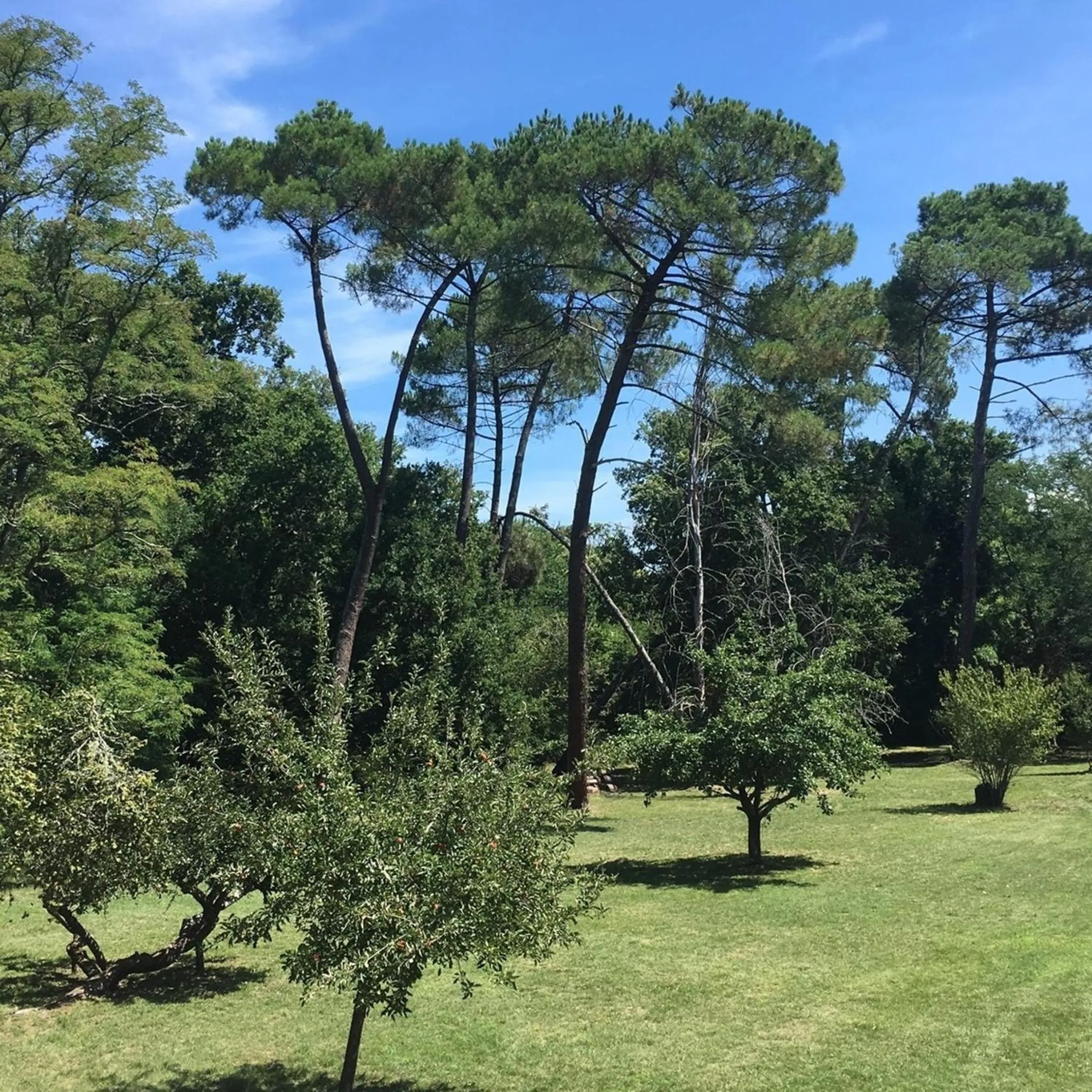 Garden in Les Volets Violets