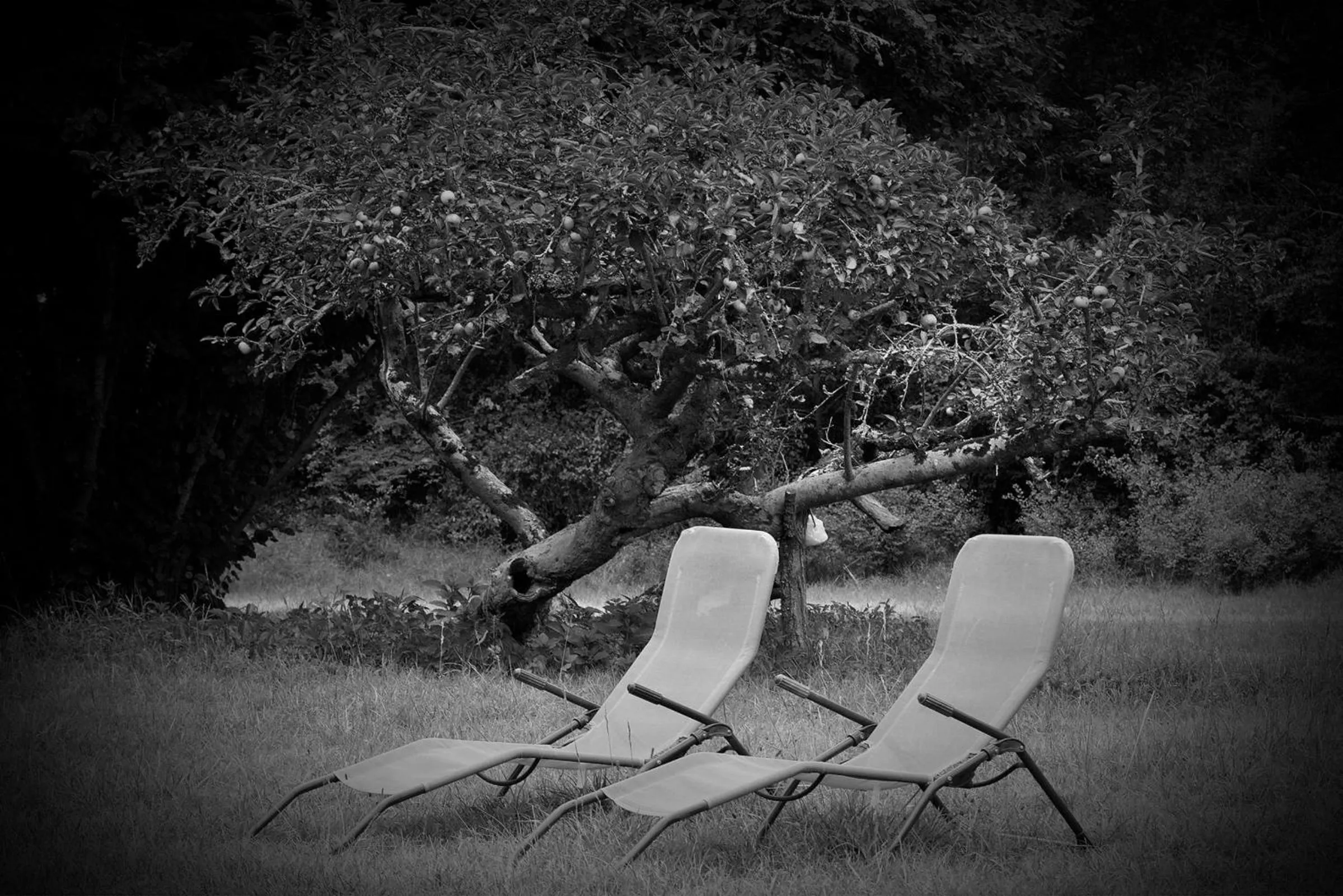 Garden in Les Volets Violets