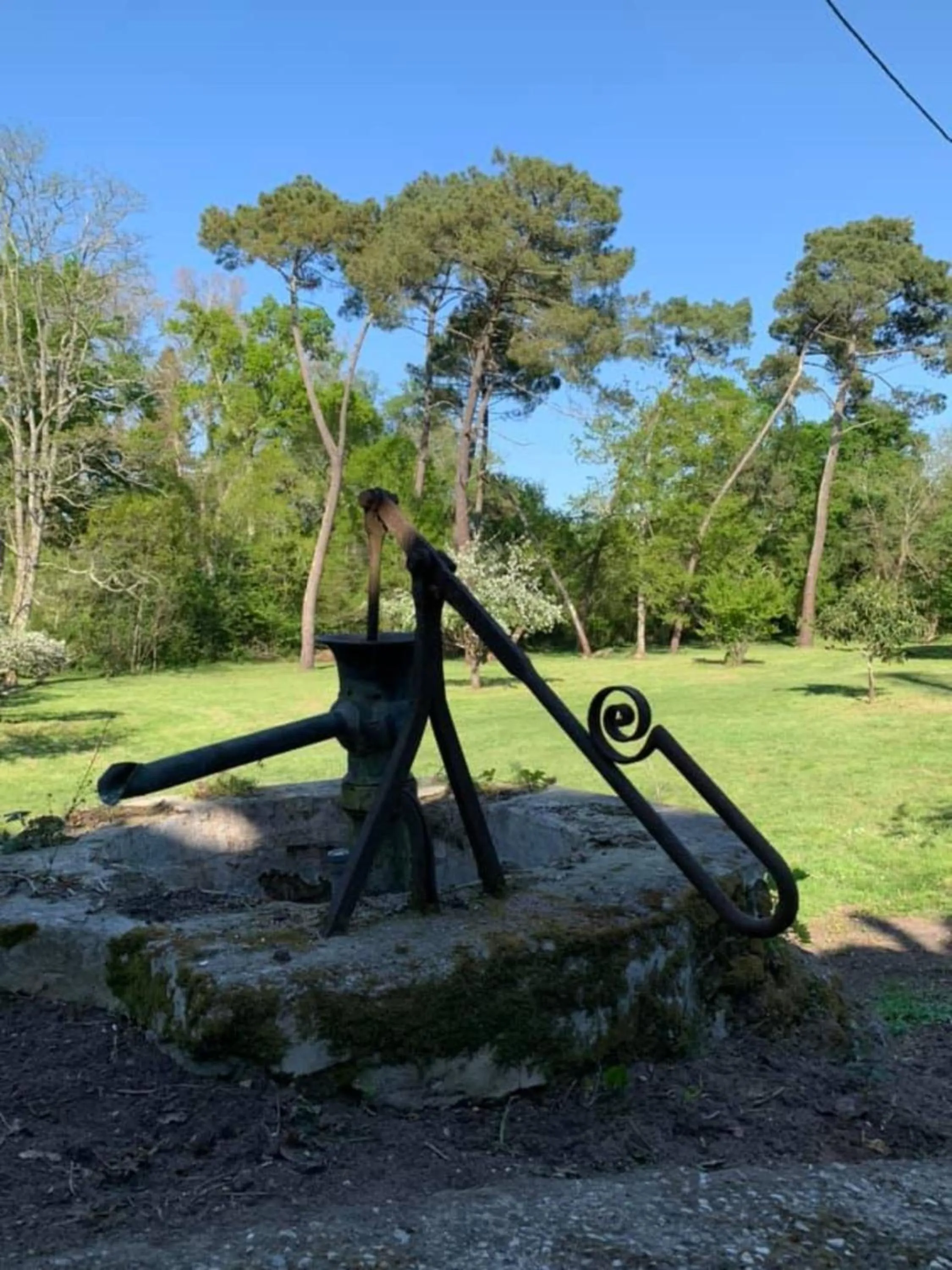 Garden in Les Volets Violets