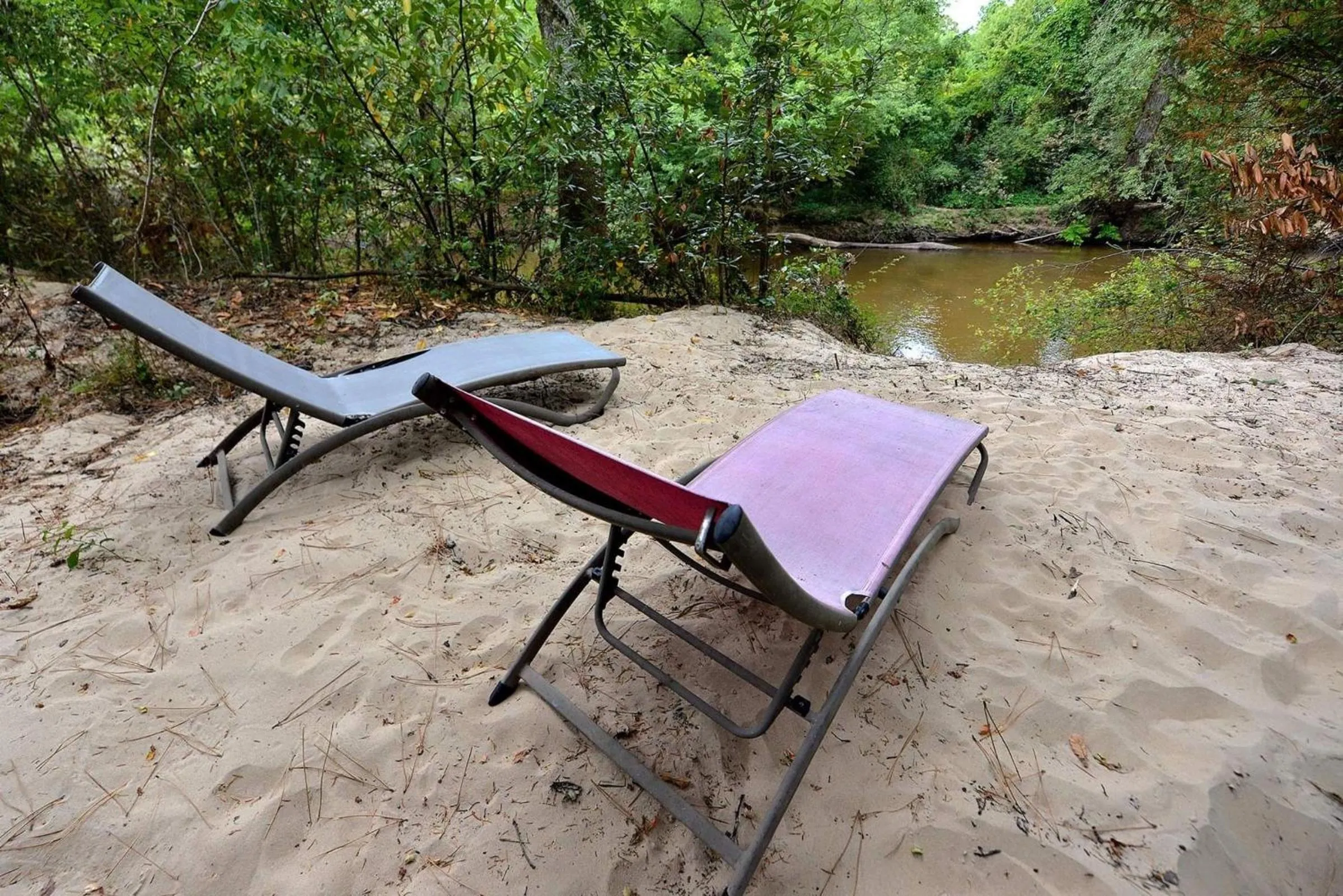 Garden in Les Volets Violets