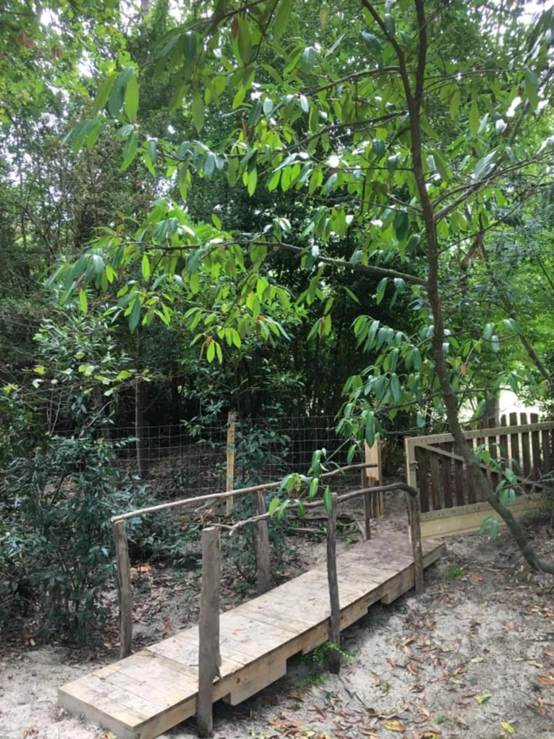 Garden in Les Volets Violets