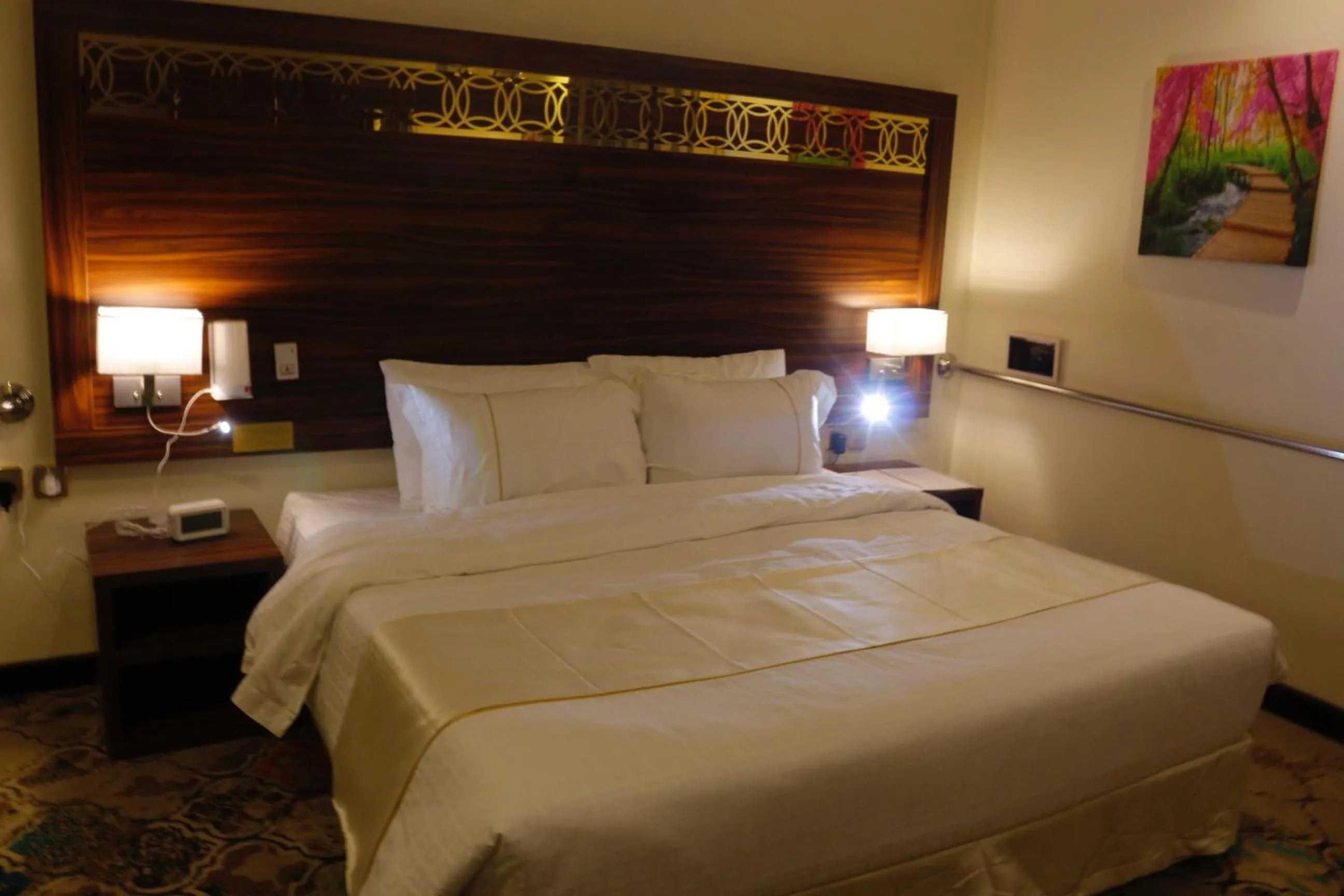 Central Park Hotel Bisha