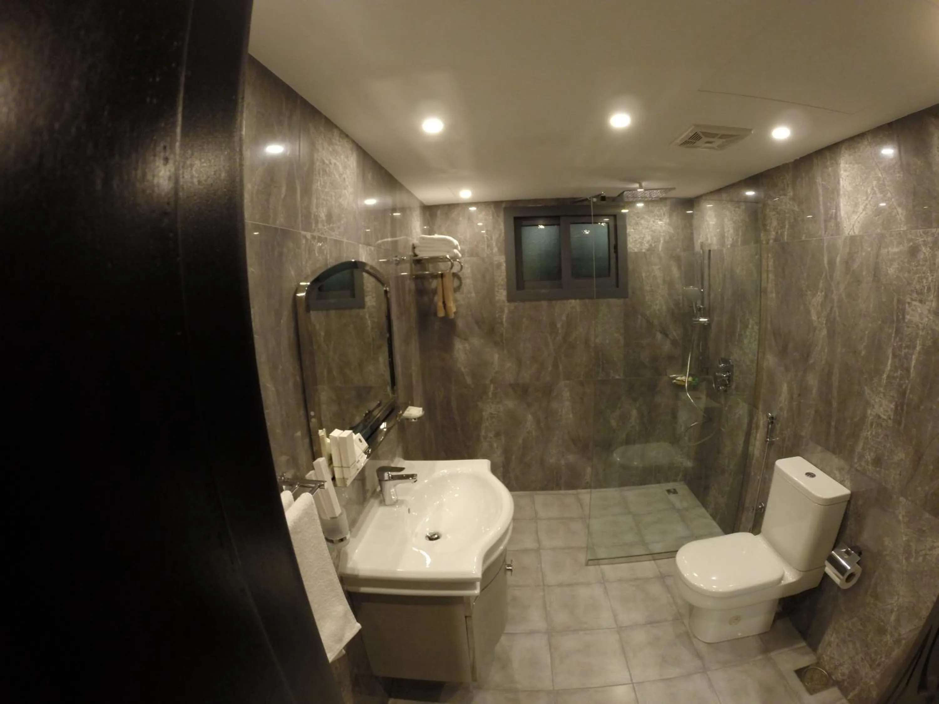 Shower in Le Park Hotel