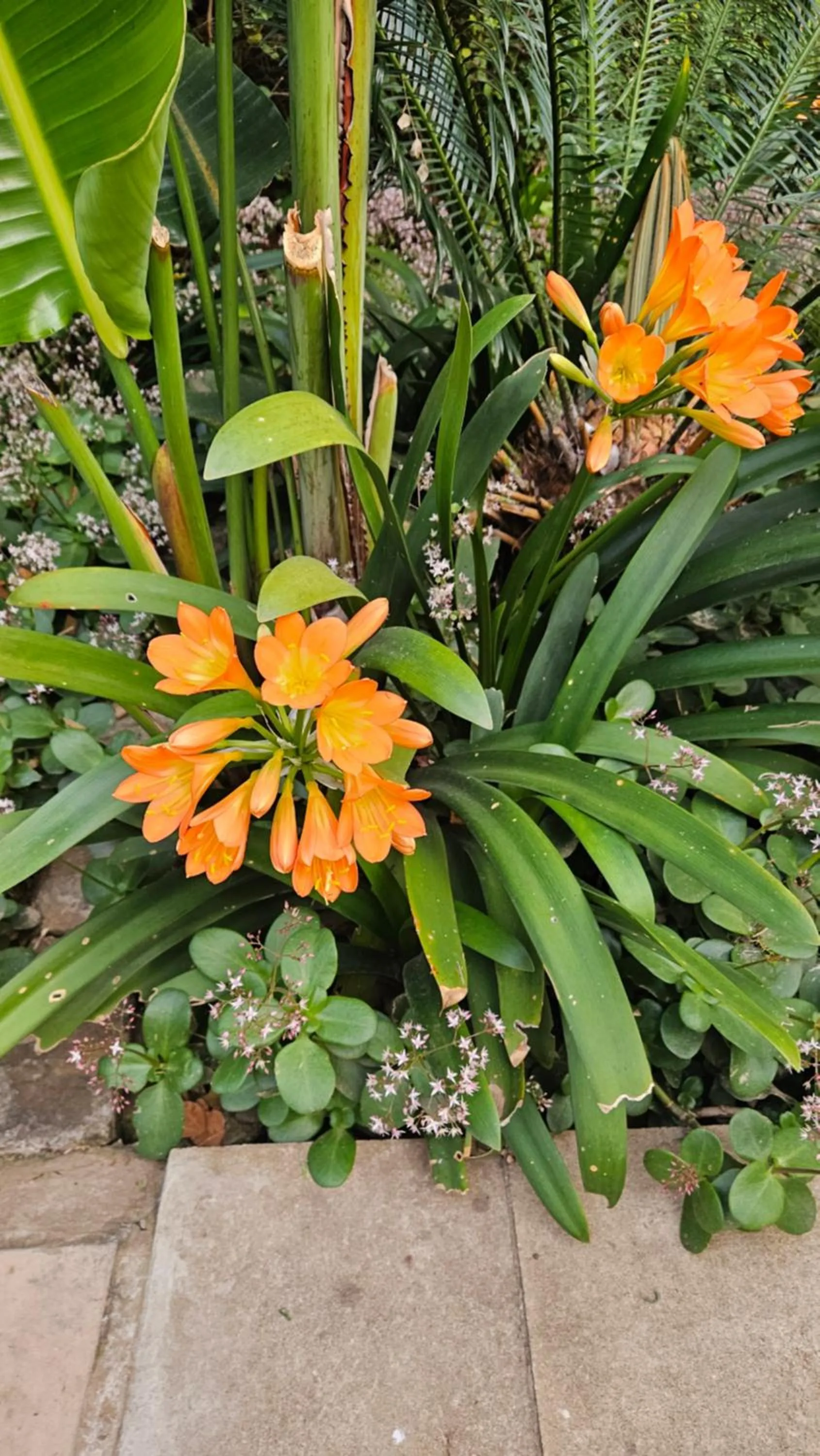 Spring in StayEasy Rustenburg