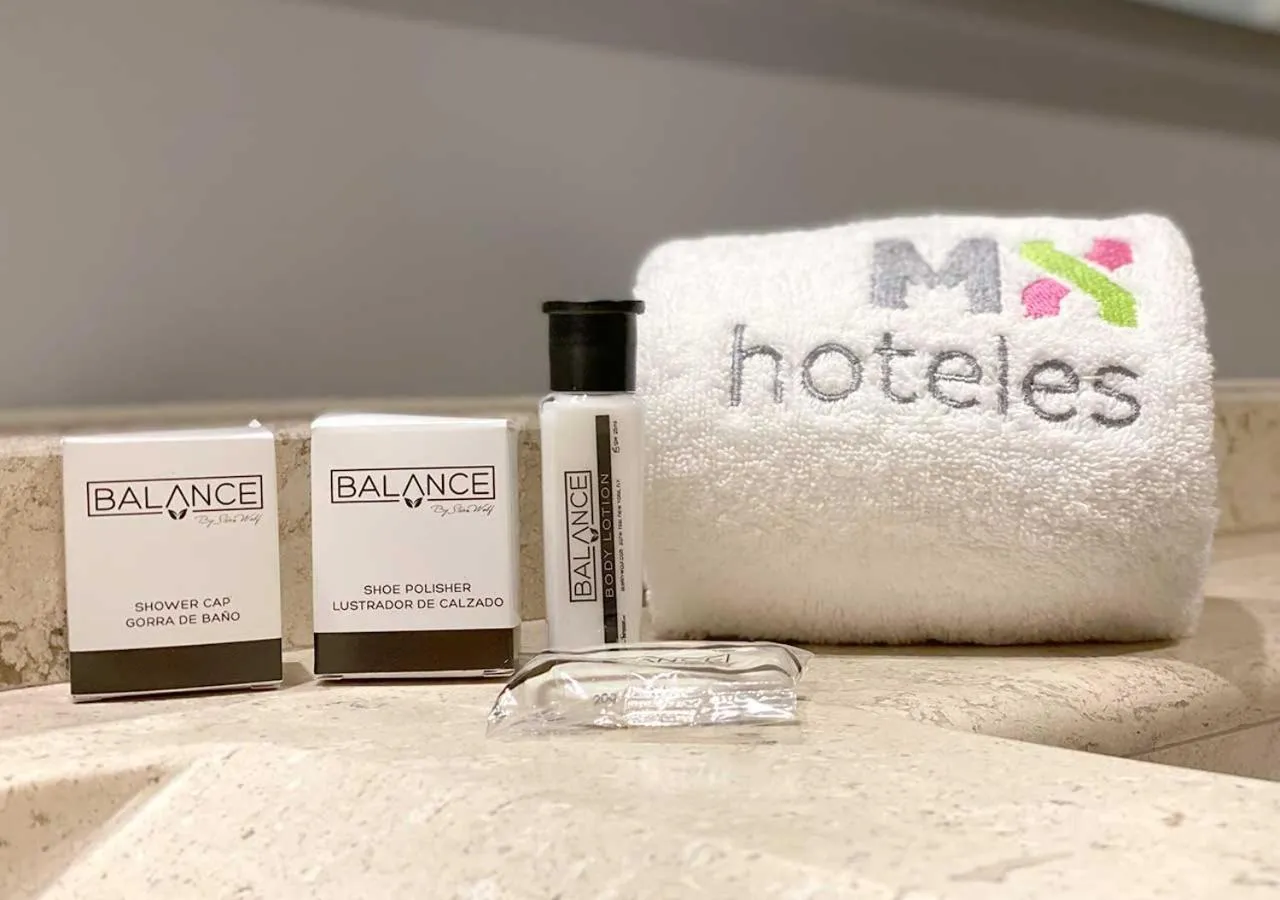 Suite in Hotel MX forum buenavista