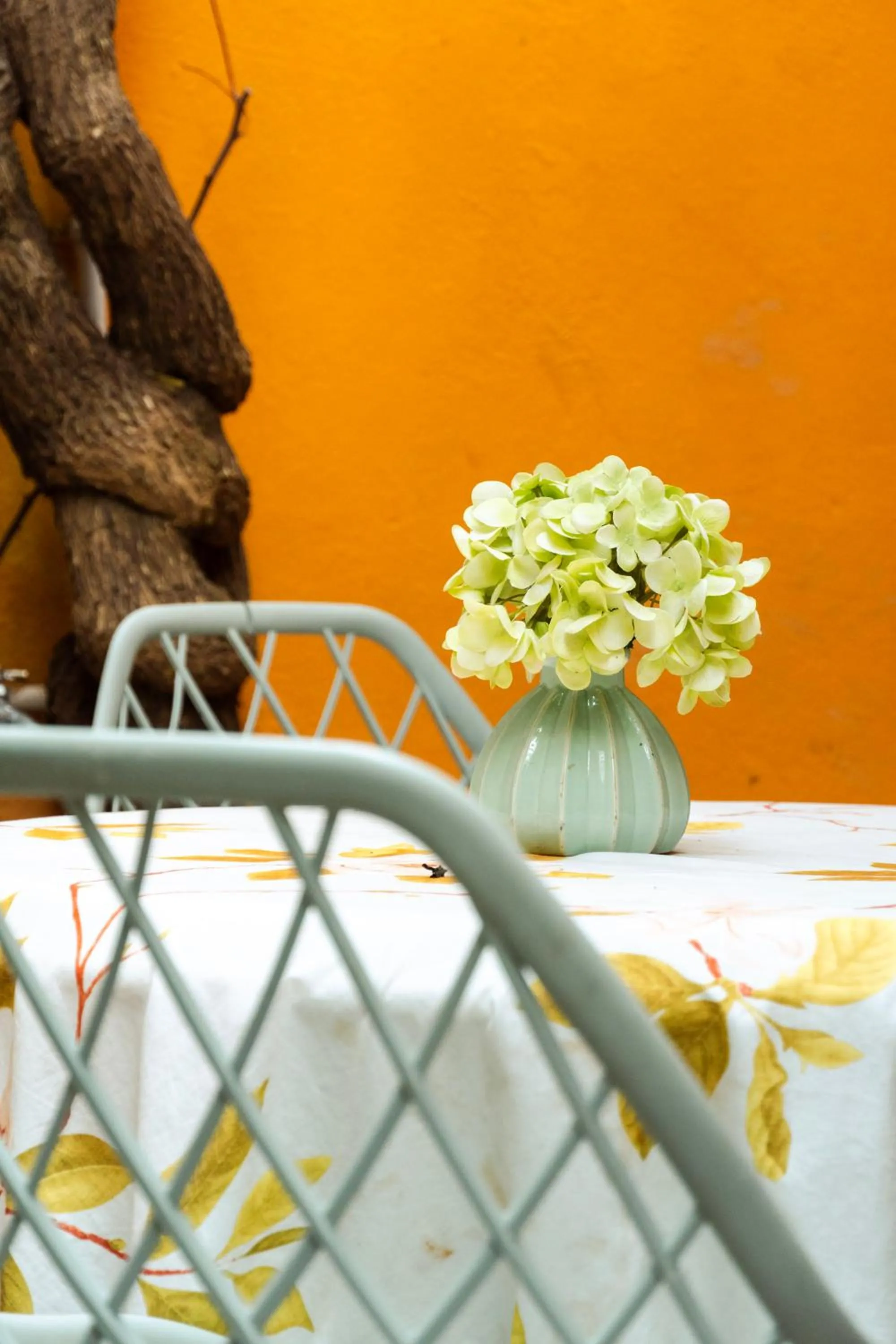 Dining area in Casa Renacer